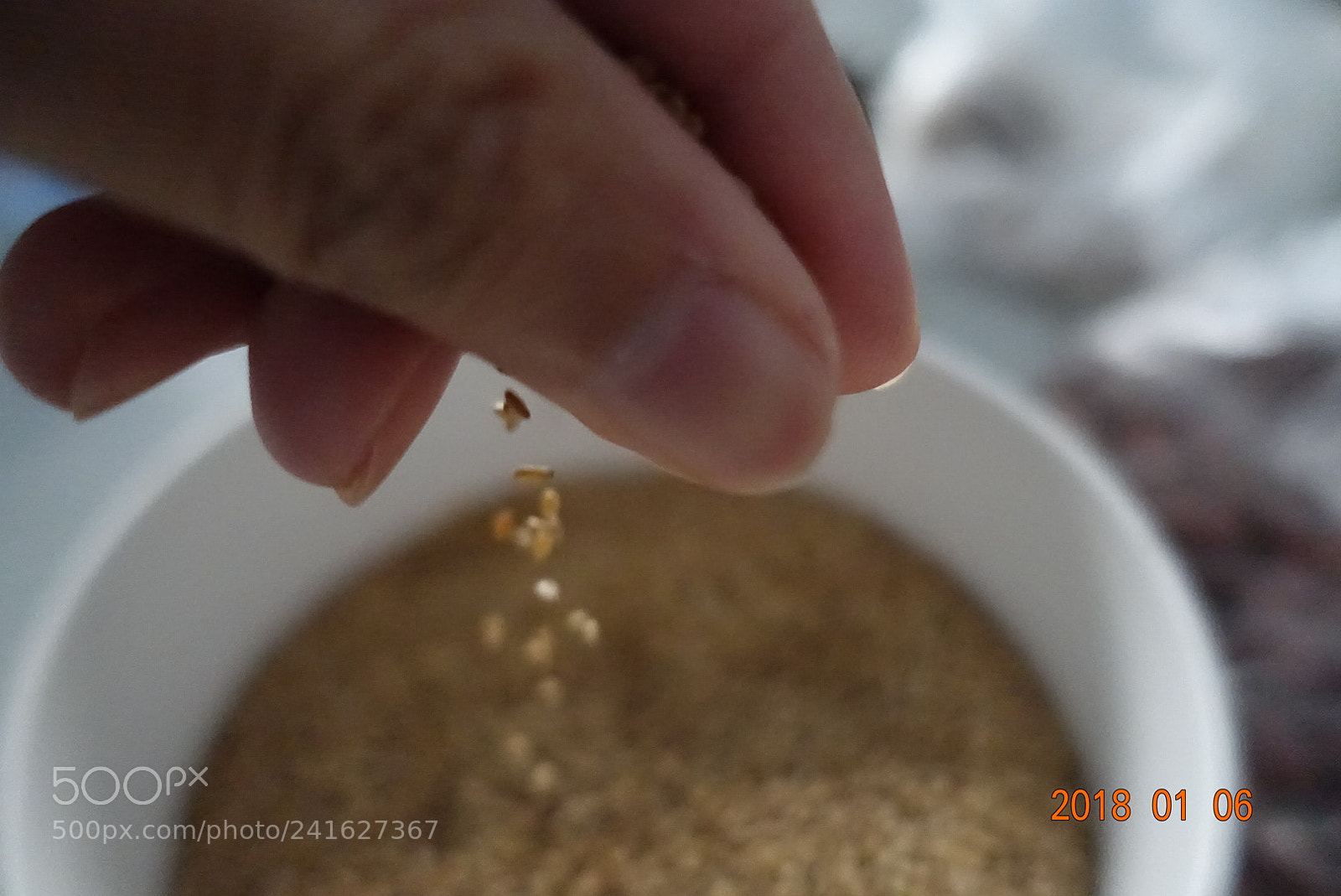 Sony Cyber-shot DSC-RX100 III sample photo. Lrg dsc photography