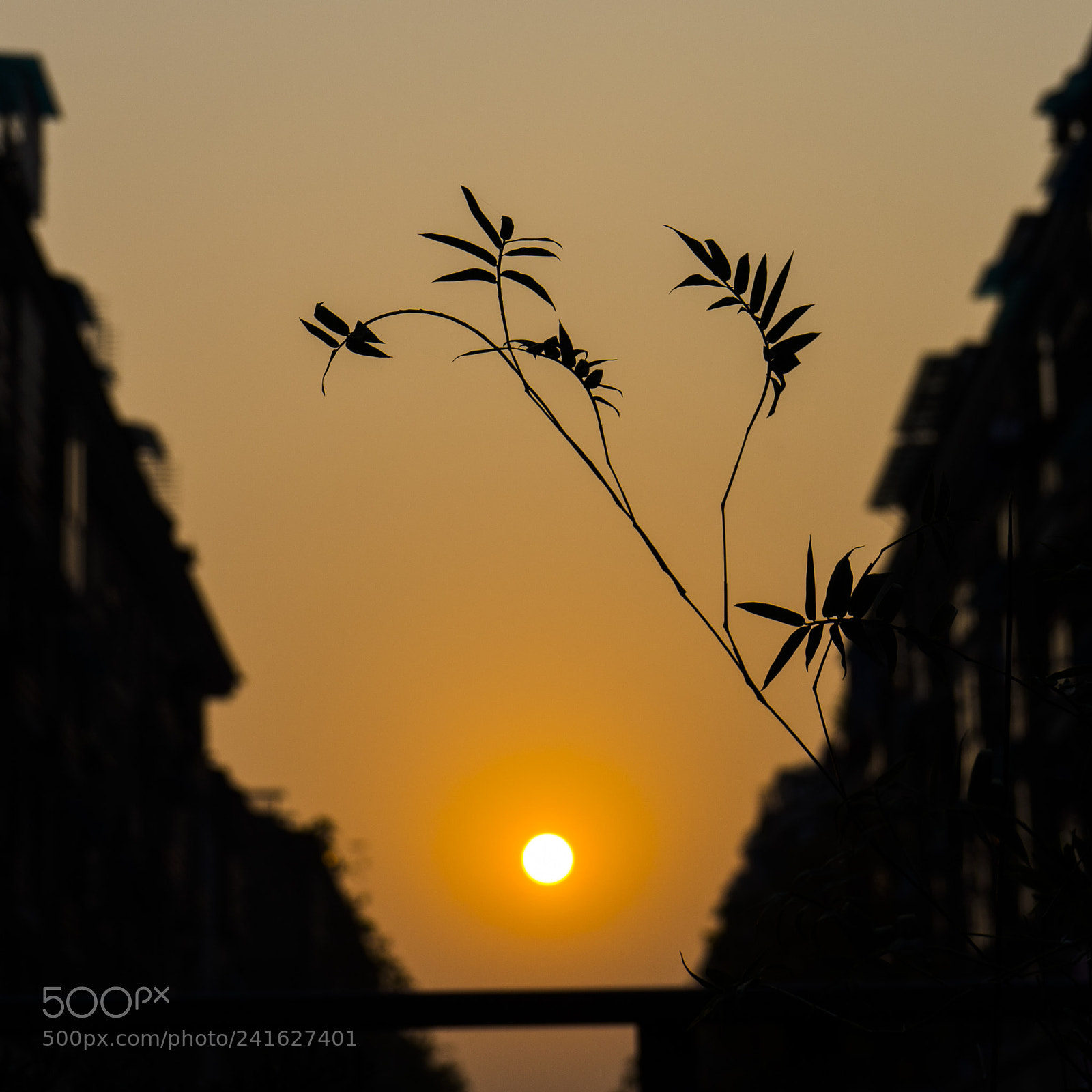 Sony a7 sample photo. Sunset photography