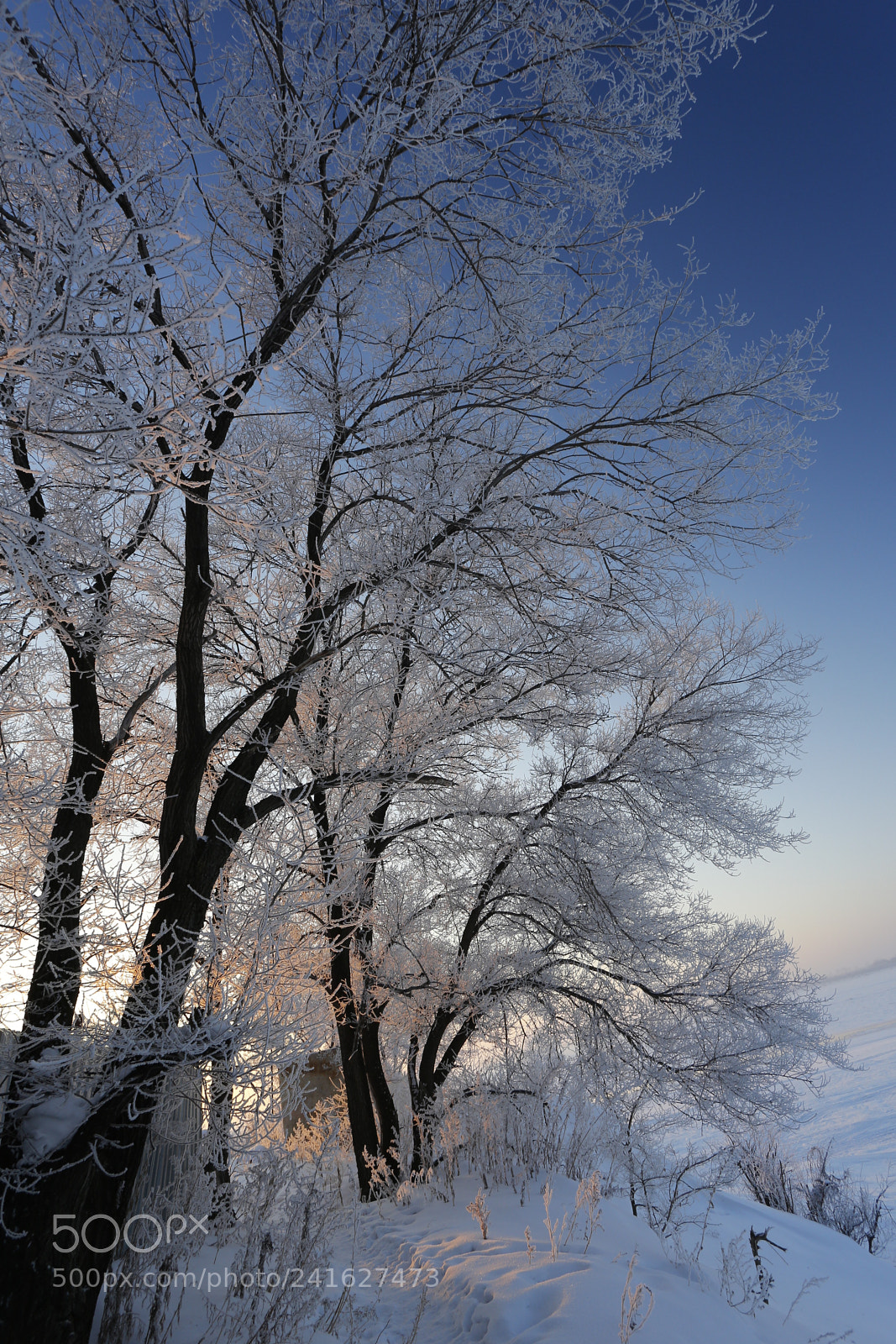 Canon EOS 6D + Canon EF 17-40mm F4L USM sample photo. Winter light photography