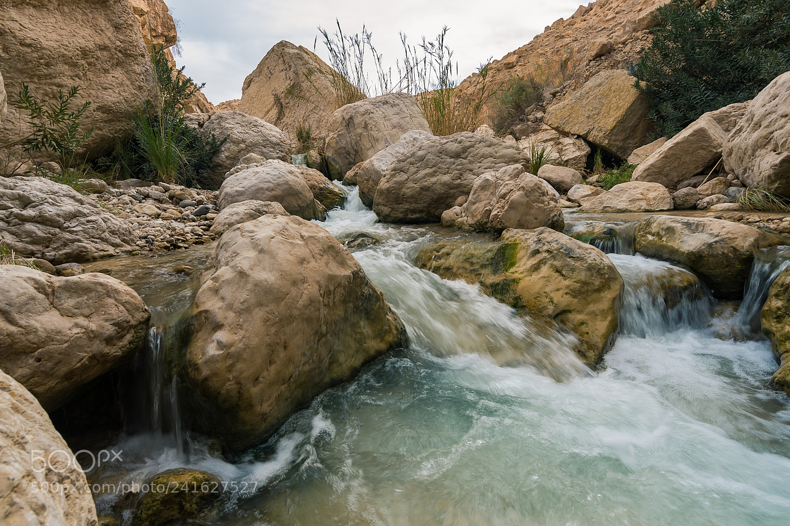 Nikon D500 sample photo. Wadi ibn hammad photography