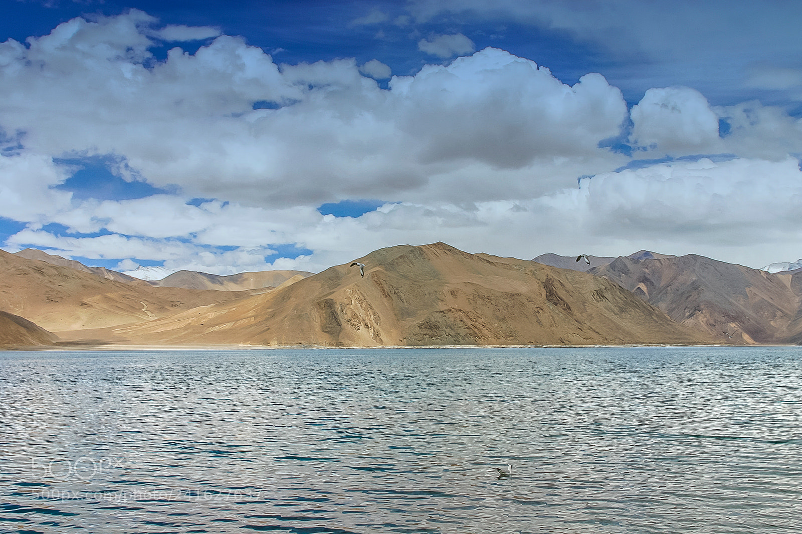 Canon EOS 300D (EOS Digital Rebel / EOS Kiss Digital) sample photo. India ladakh pangong tso photography