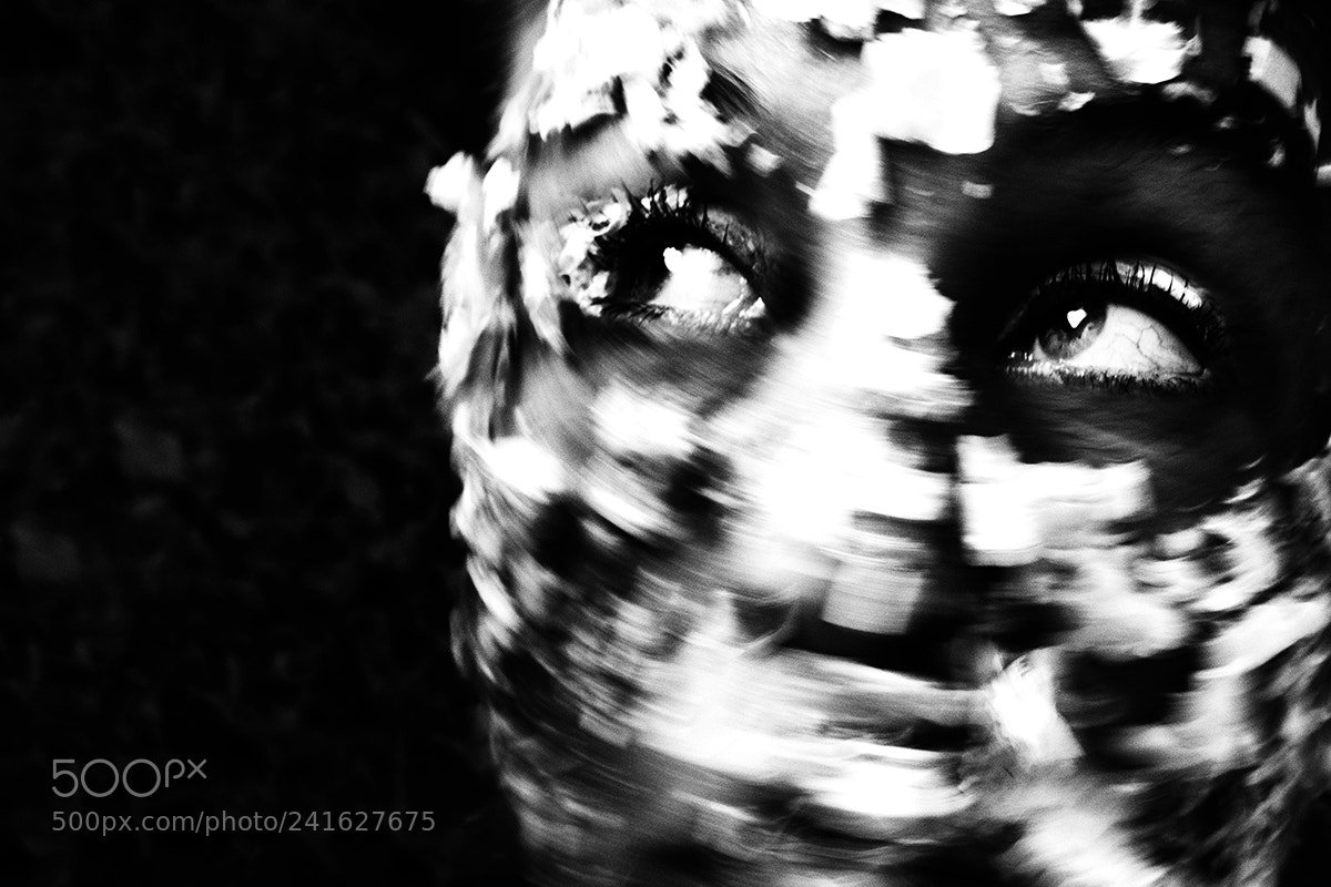 Pentax K-5 II sample photo. Die spinnen die sp photography