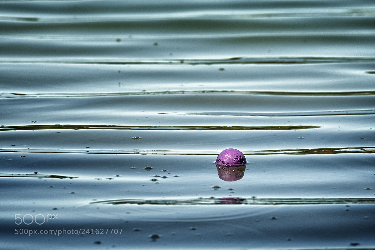 Pentax K-5 II sample photo. Spielpartner gesucht photography