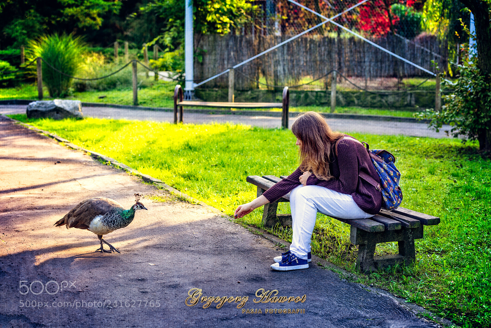 Nikon D800 sample photo. Bliskie spotkanie... photography