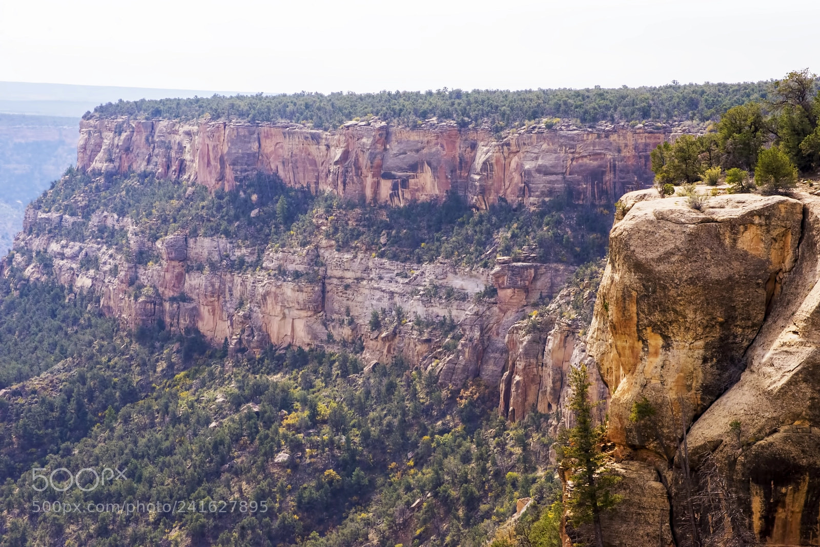 Nikon D600 sample photo. Cliffside view (1) photography