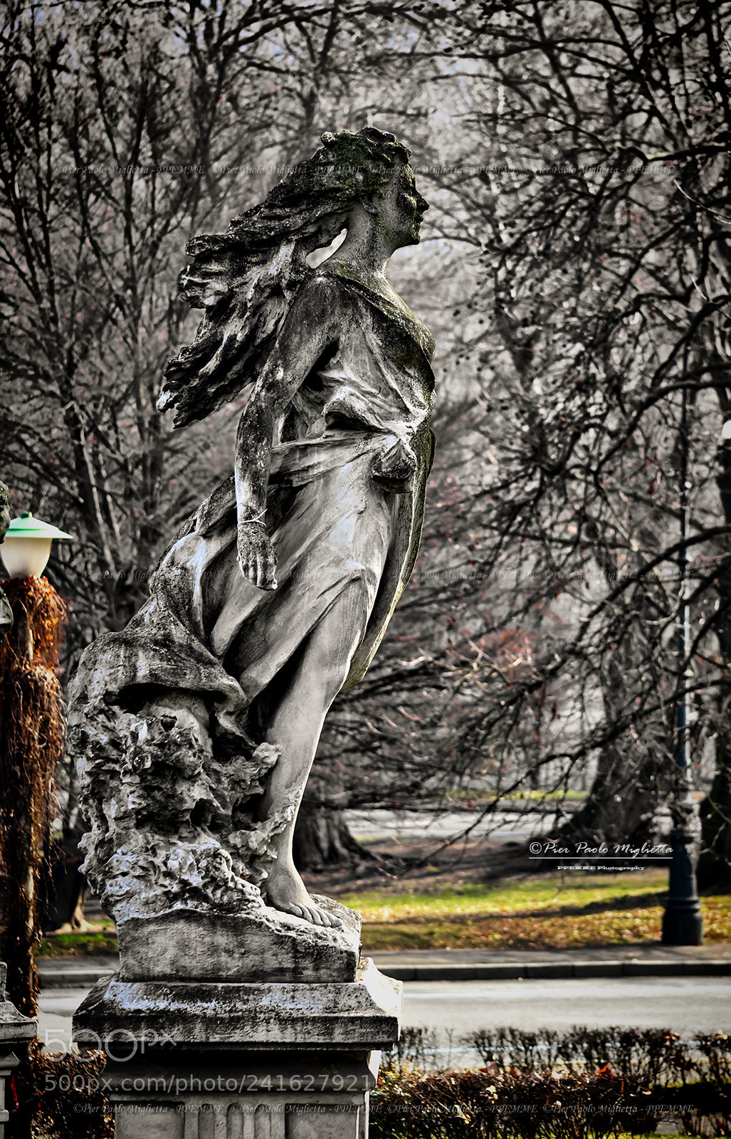 Nikon D90 sample photo. Walking in the park photography