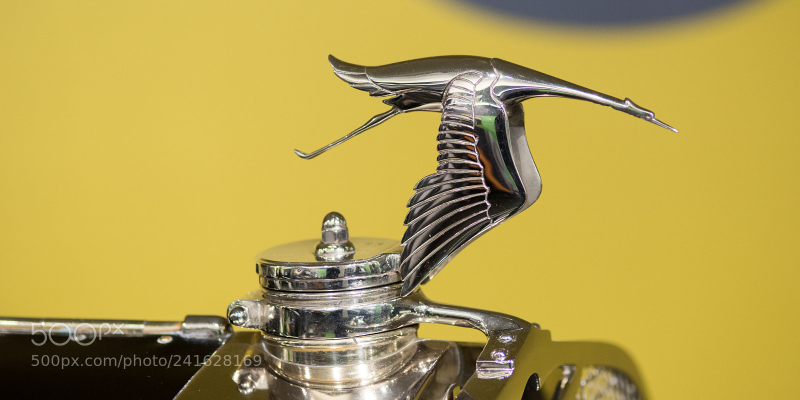 Nikon D810 sample photo. The packard photography