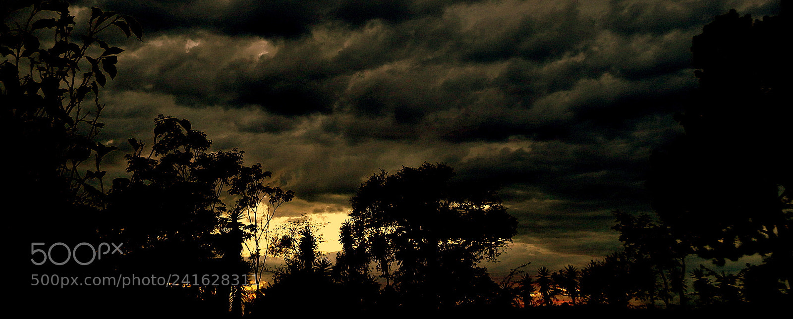 Fujifilm FinePix SL1000 sample photo. Summer morning .. photography