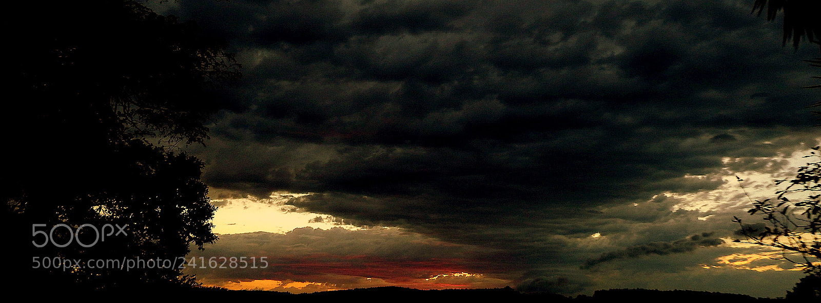 Fujifilm FinePix SL1000 sample photo. Big morning ... photography