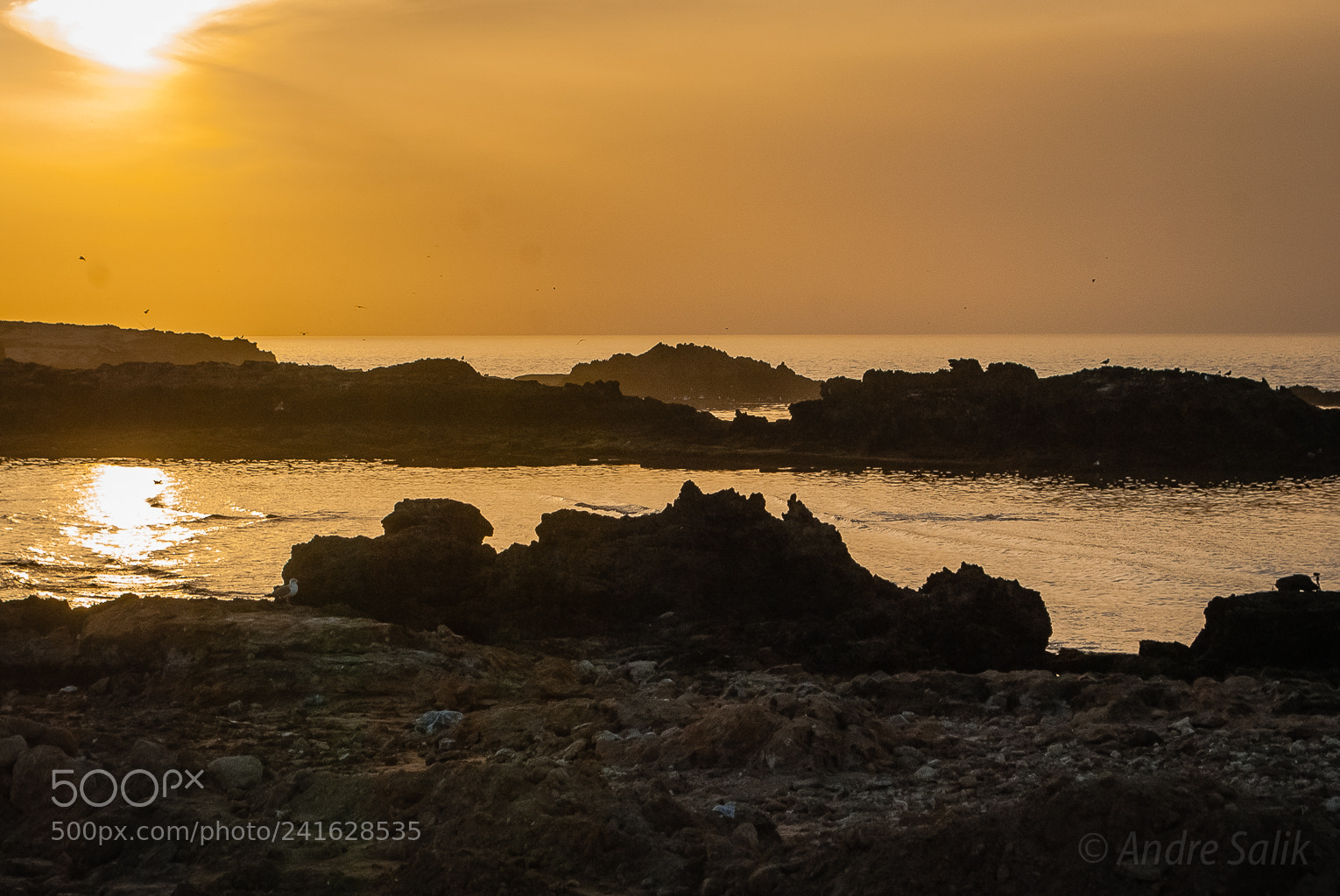 Nikon D60 sample photo. Essaouira. photography