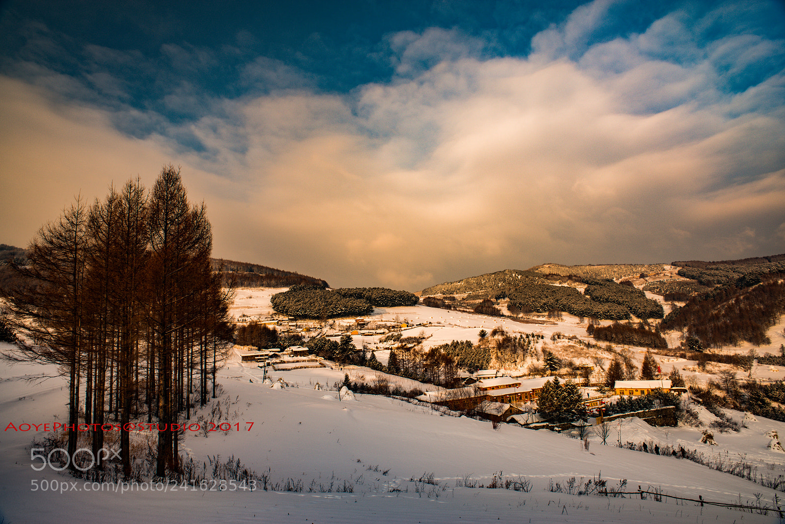 Nikon D800 sample photo. Snow photography