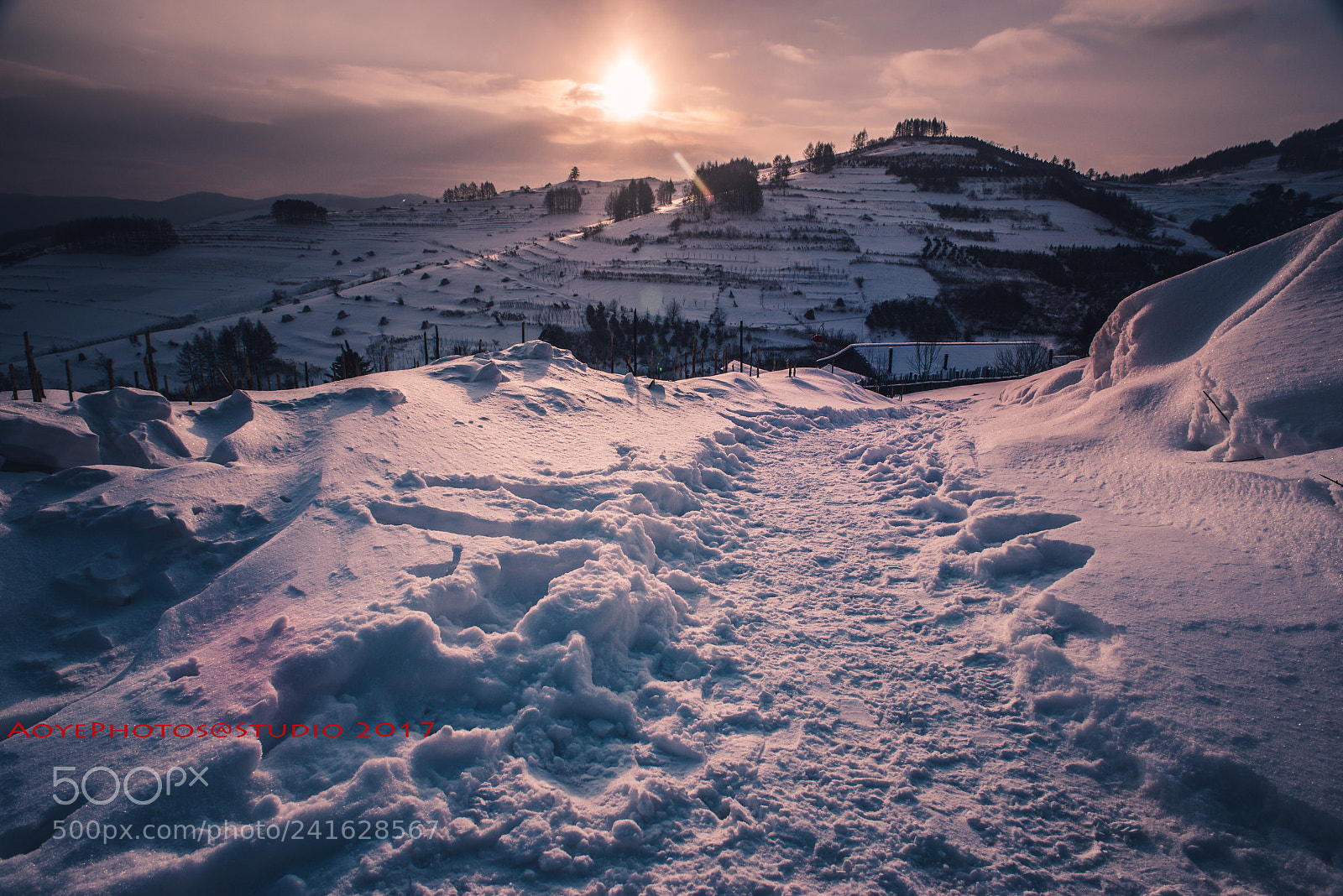 Nikon D800 sample photo. Snow photography