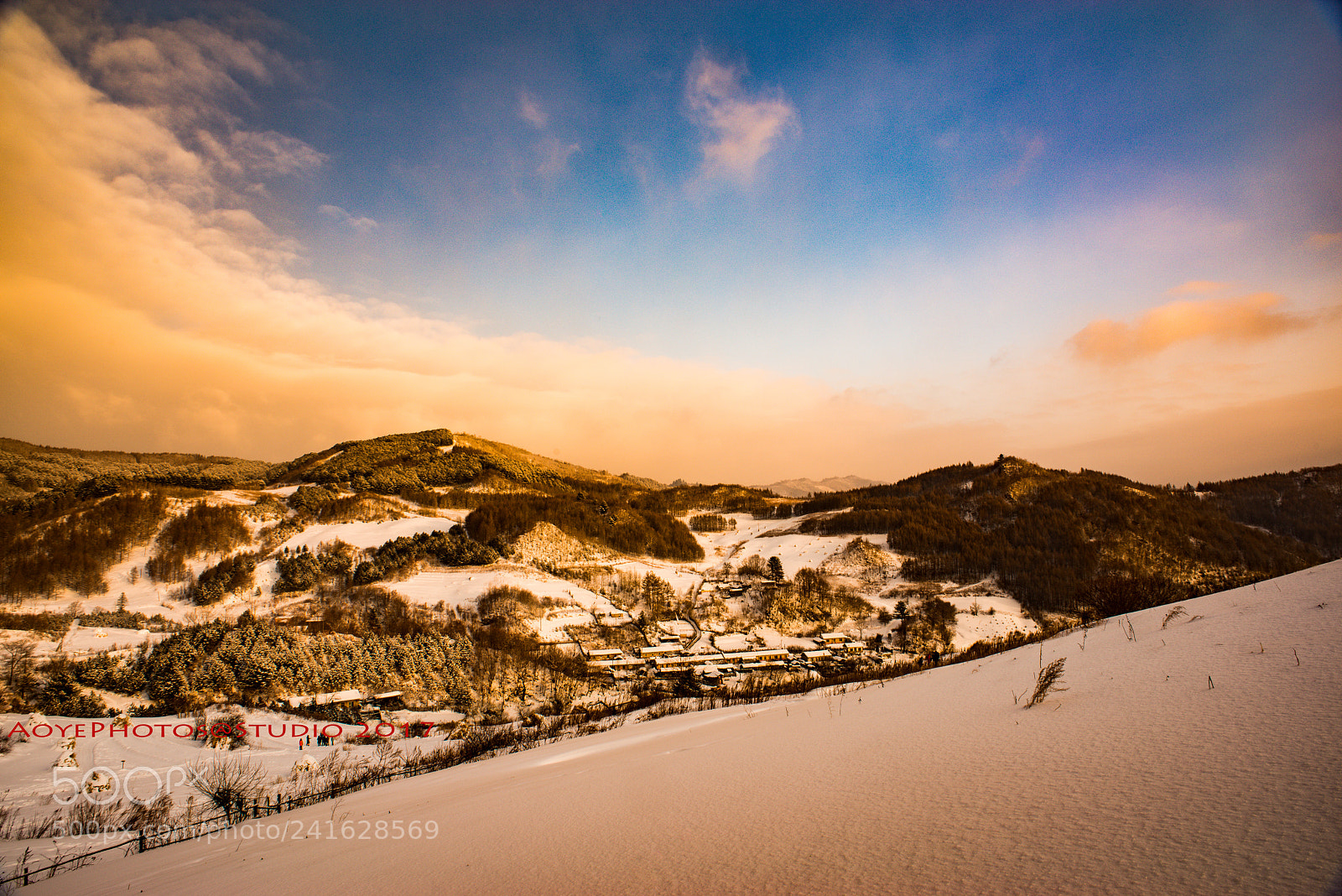 Nikon D800 sample photo. Snow photography