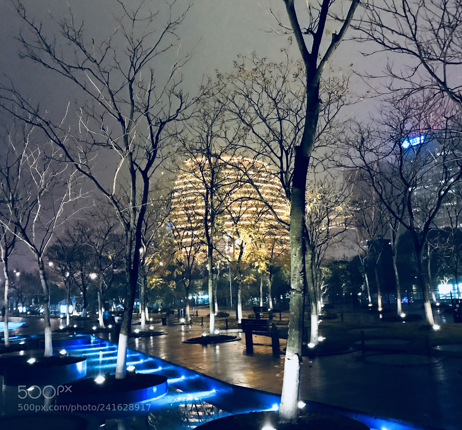 Apple iPhone 7 Plus sample photo. Untitled photography