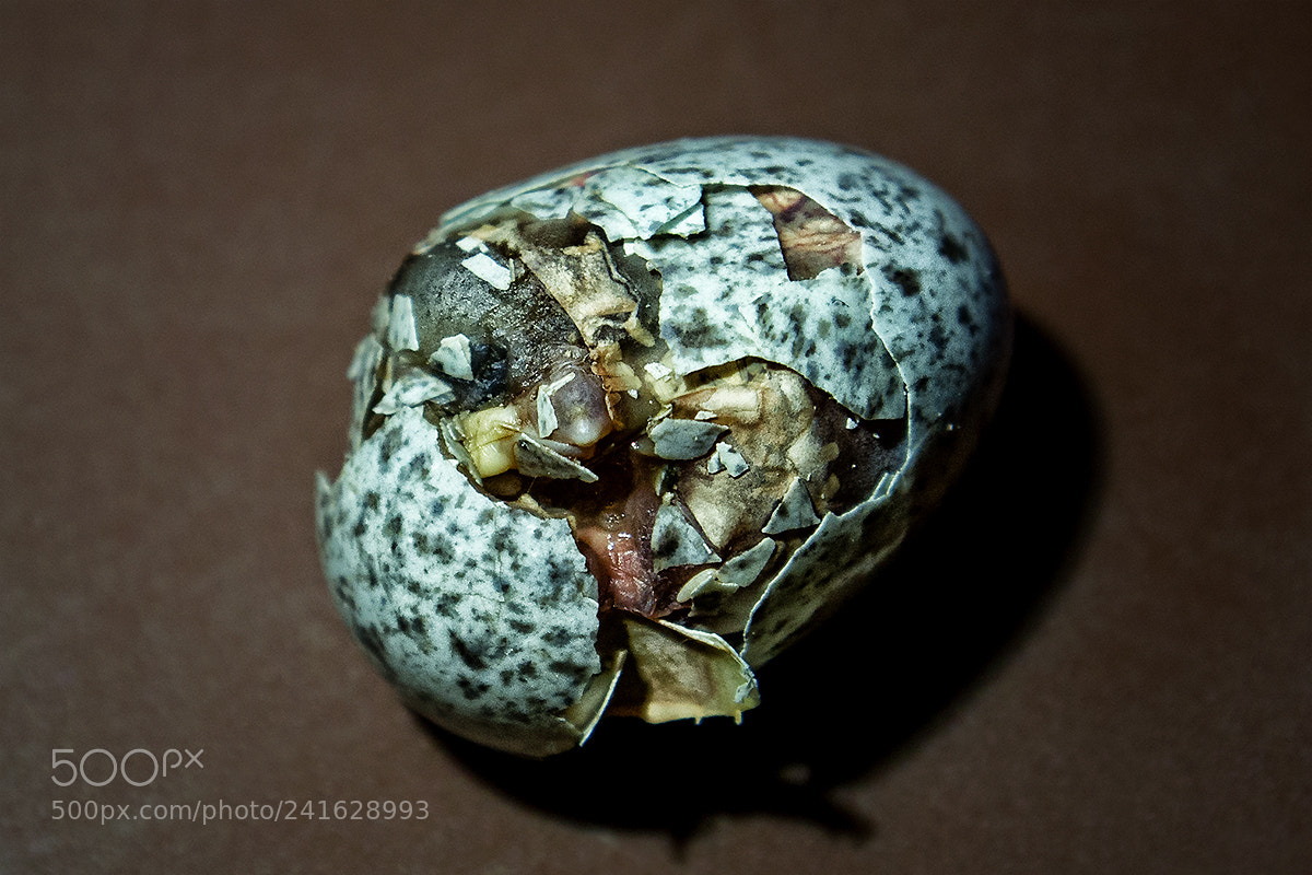Pentax K-5 sample photo. Nicht jeder schafft den photography