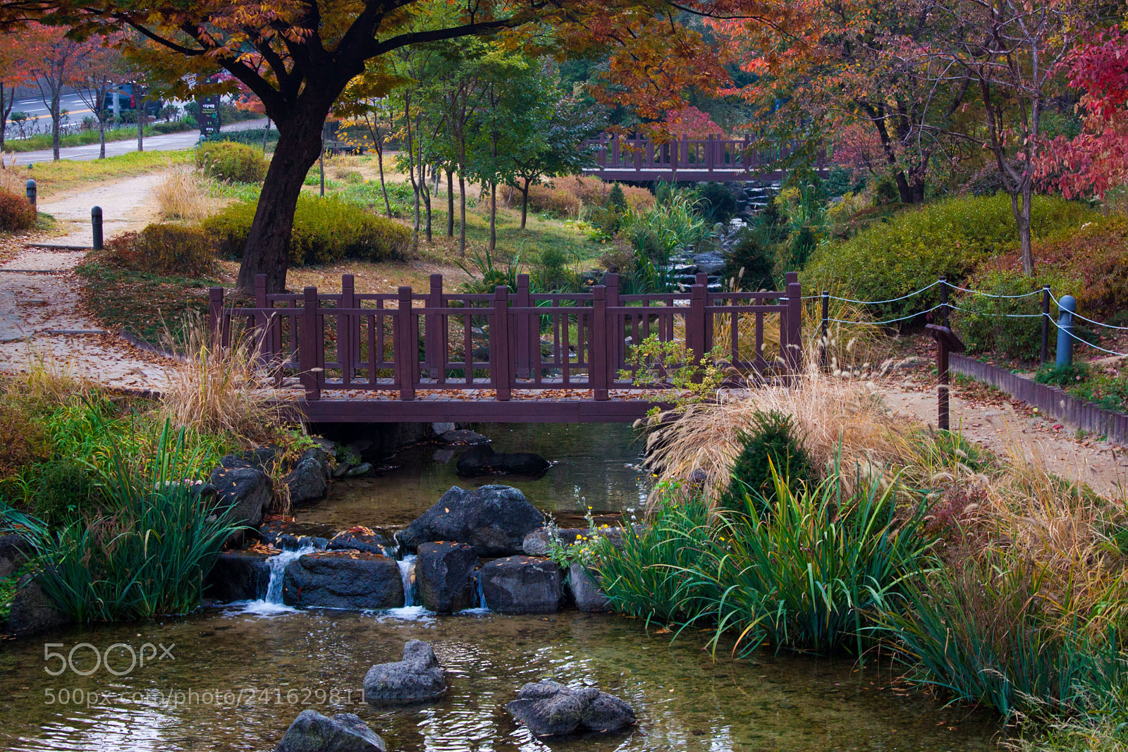 Canon EOS 500D (EOS Rebel T1i / EOS Kiss X3) sample photo. Under a fall sky photography