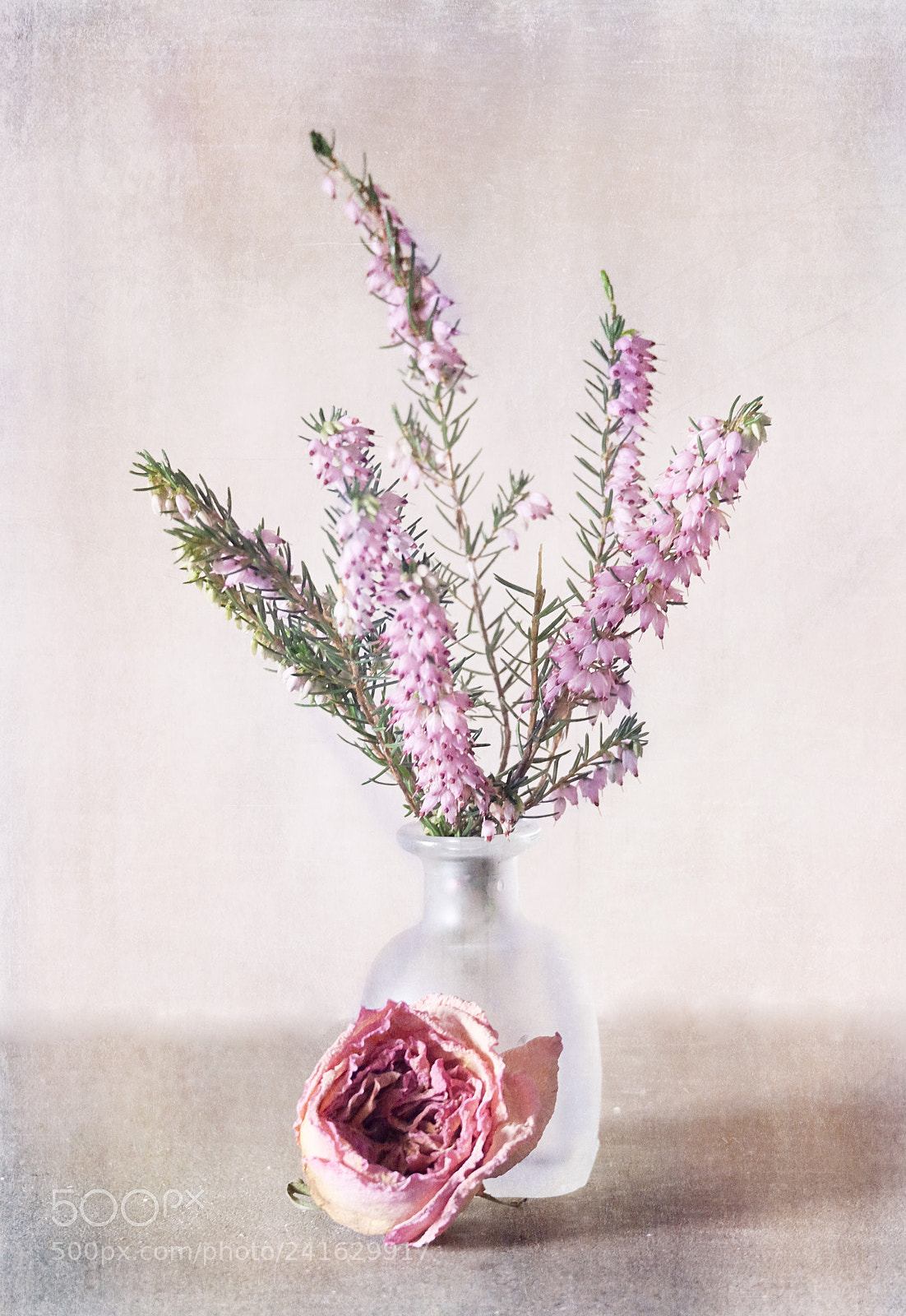 Fujifilm X-T10 sample photo. Heather and rose photography