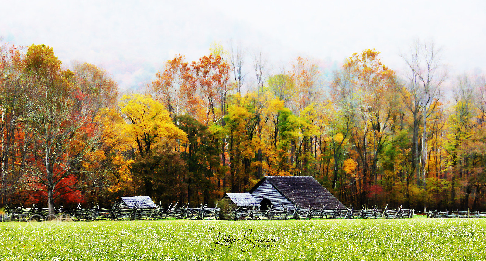 Canon EOS 60D sample photo. Vivid fall photography