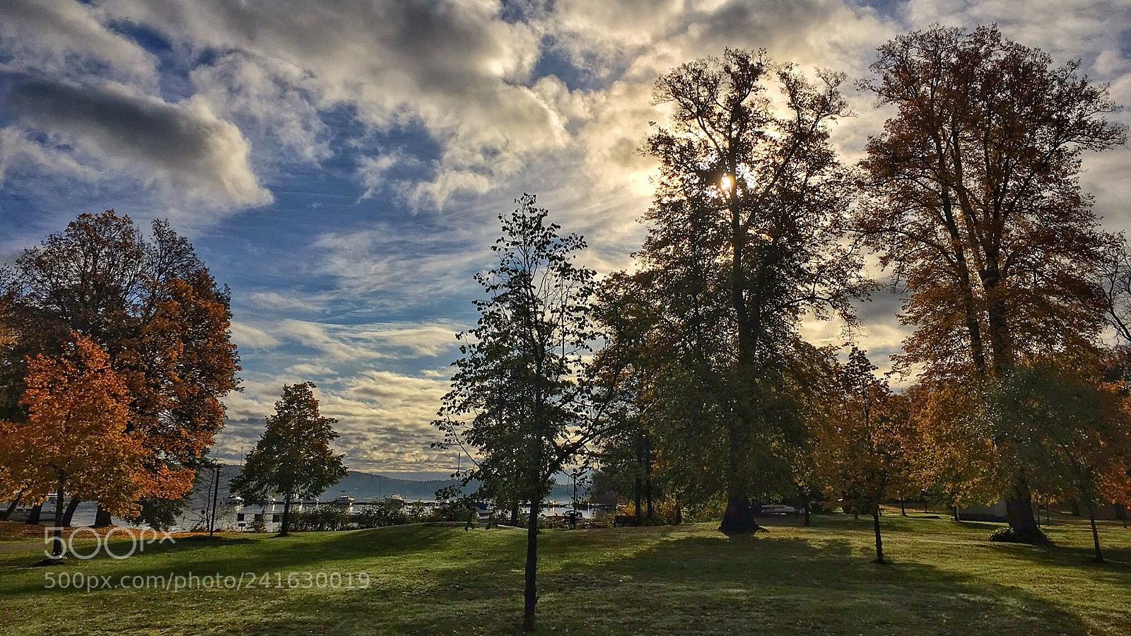 Apple iPhone 6s sample photo. Autumn in str ngn photography