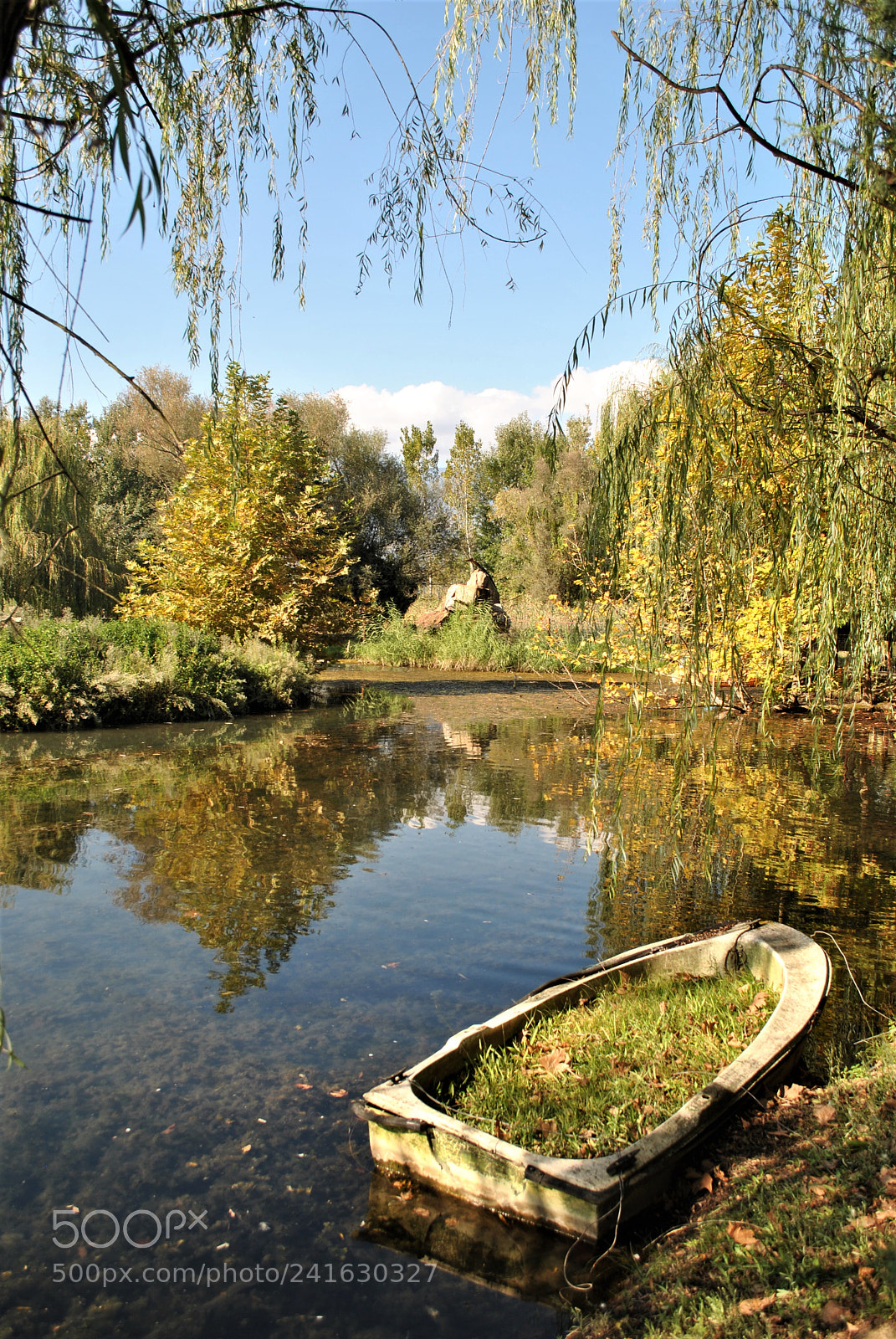Nikon D3000 sample photo. Natures pond photography