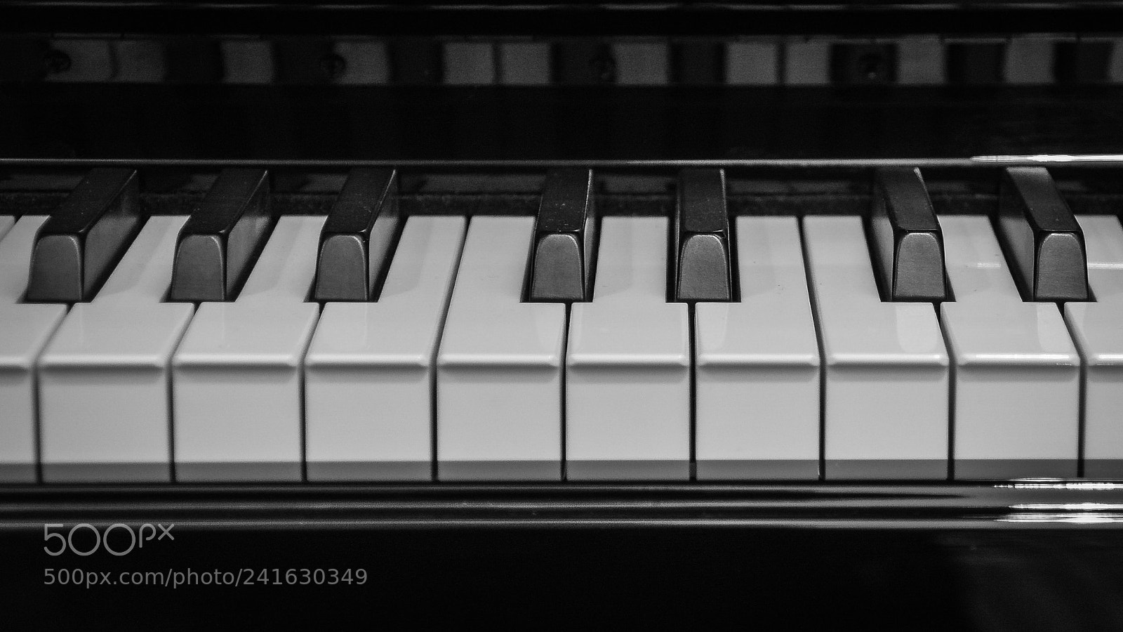 Nikon D3200 sample photo. The black and white photography