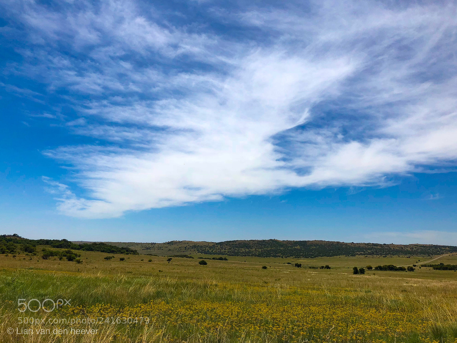 Apple iPhone X sample photo. Cirrus clouds over gauteng photography