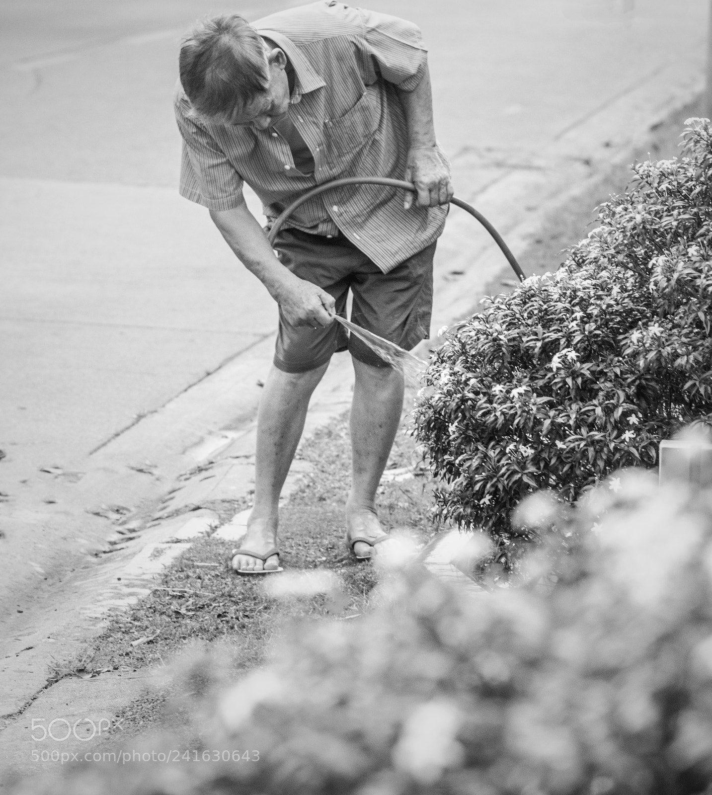Nikon D7200 sample photo. Copy photography