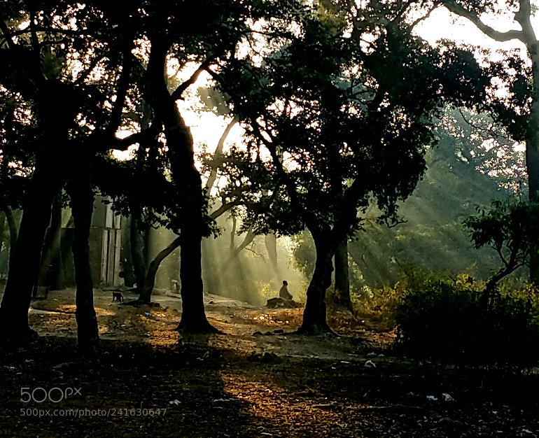 Samsung Galaxy Note4 sample photo. Man in meditation photography