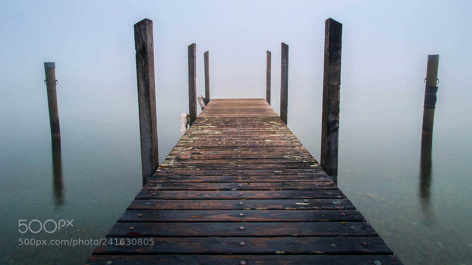 Nikon D5000 sample photo. Misty morning photography