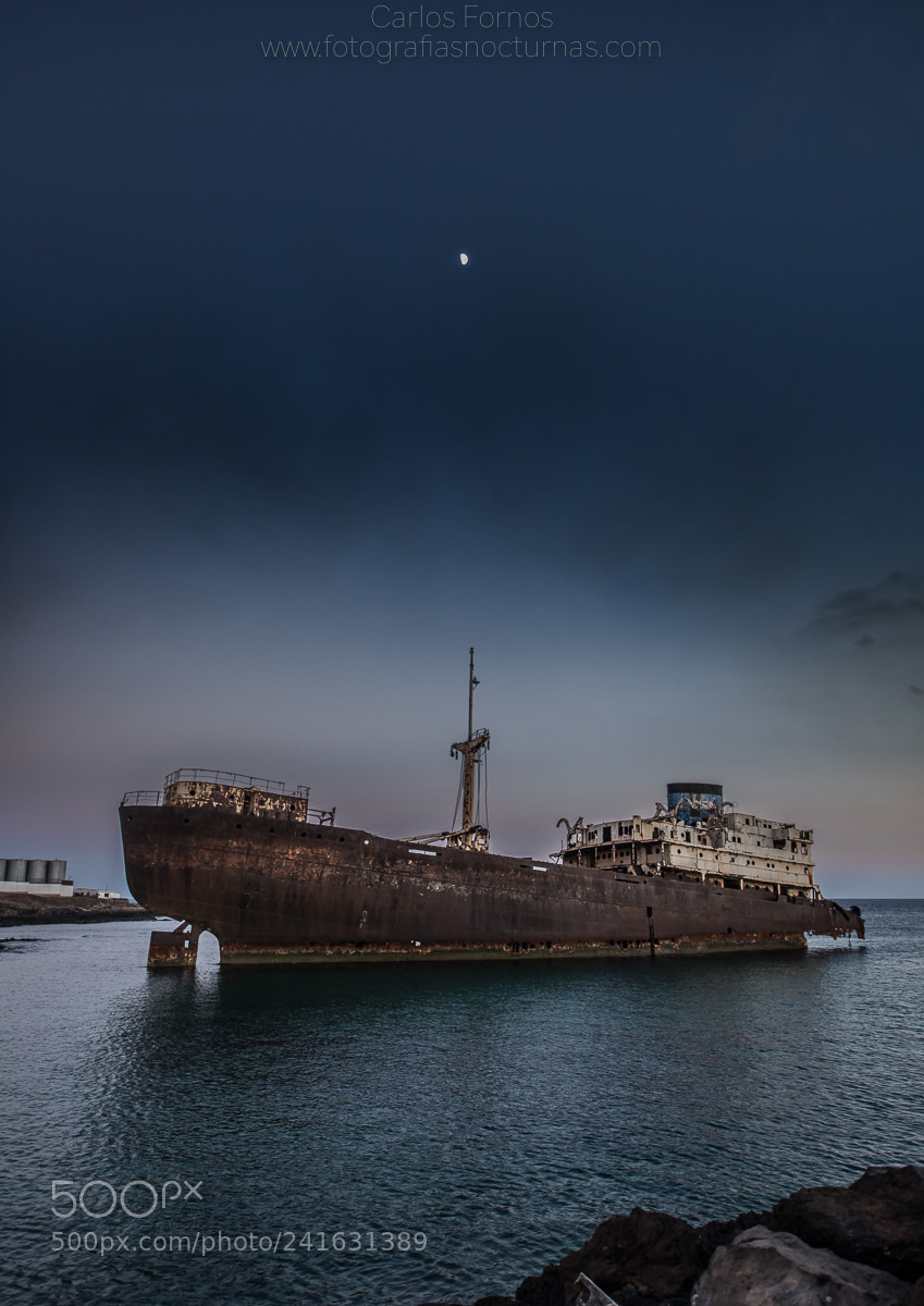 Nikon D800 sample photo. Telamon. photography