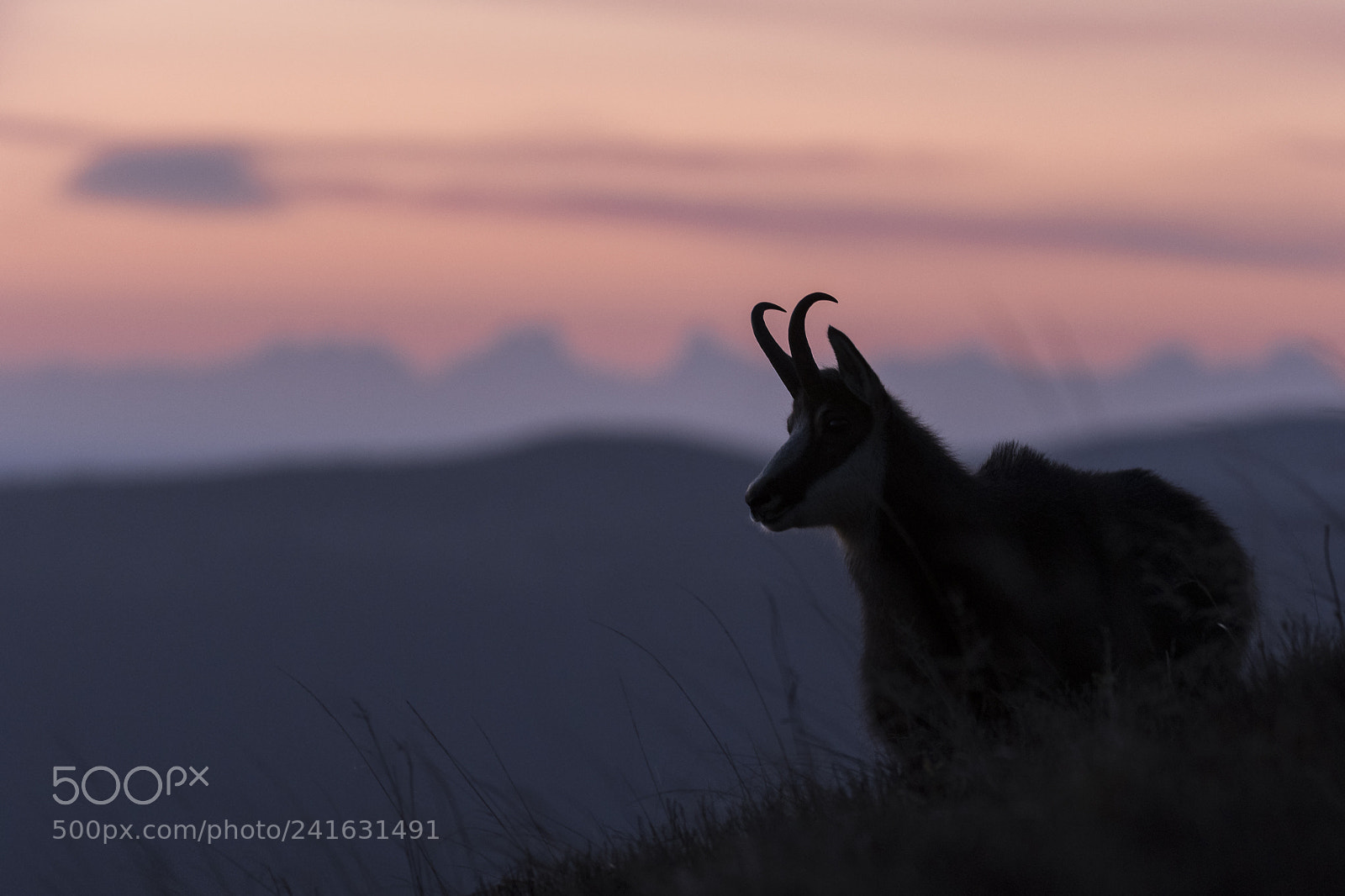 Nikon D500 sample photo. Chamoix wiht alpes in photography