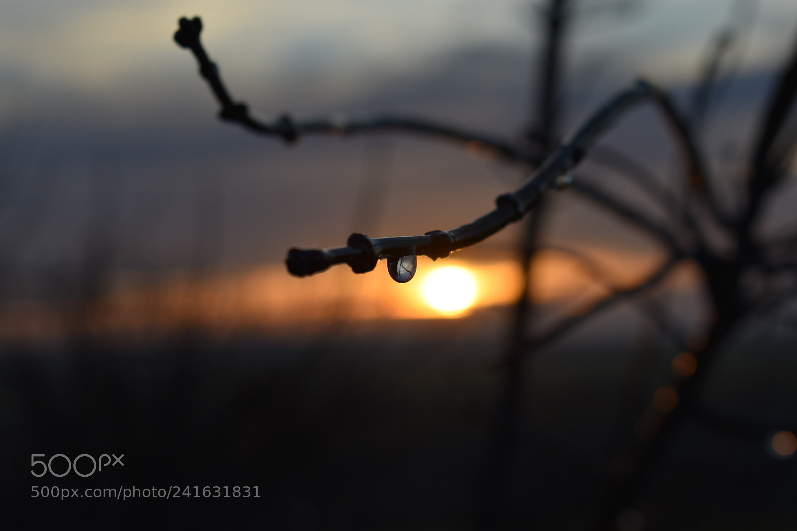 Nikon D3400 sample photo. Untitled photography