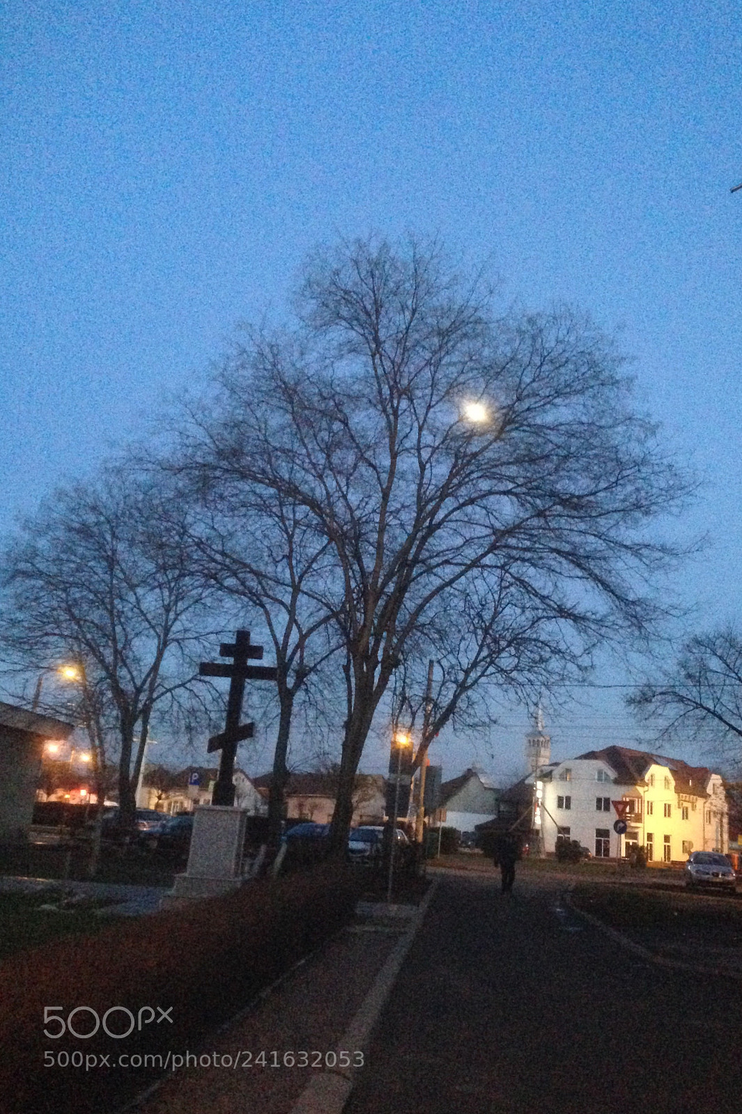 Apple iPhone 5 sample photo. Full moon on tree photography