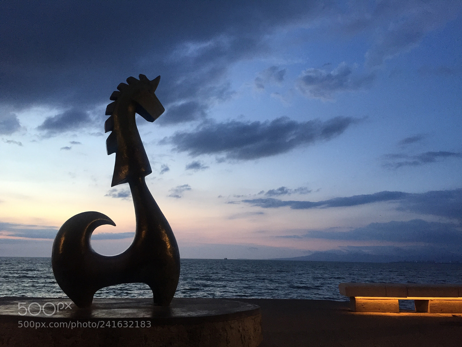Apple iPhone 6 sample photo. Puerto vallarta s wild photography