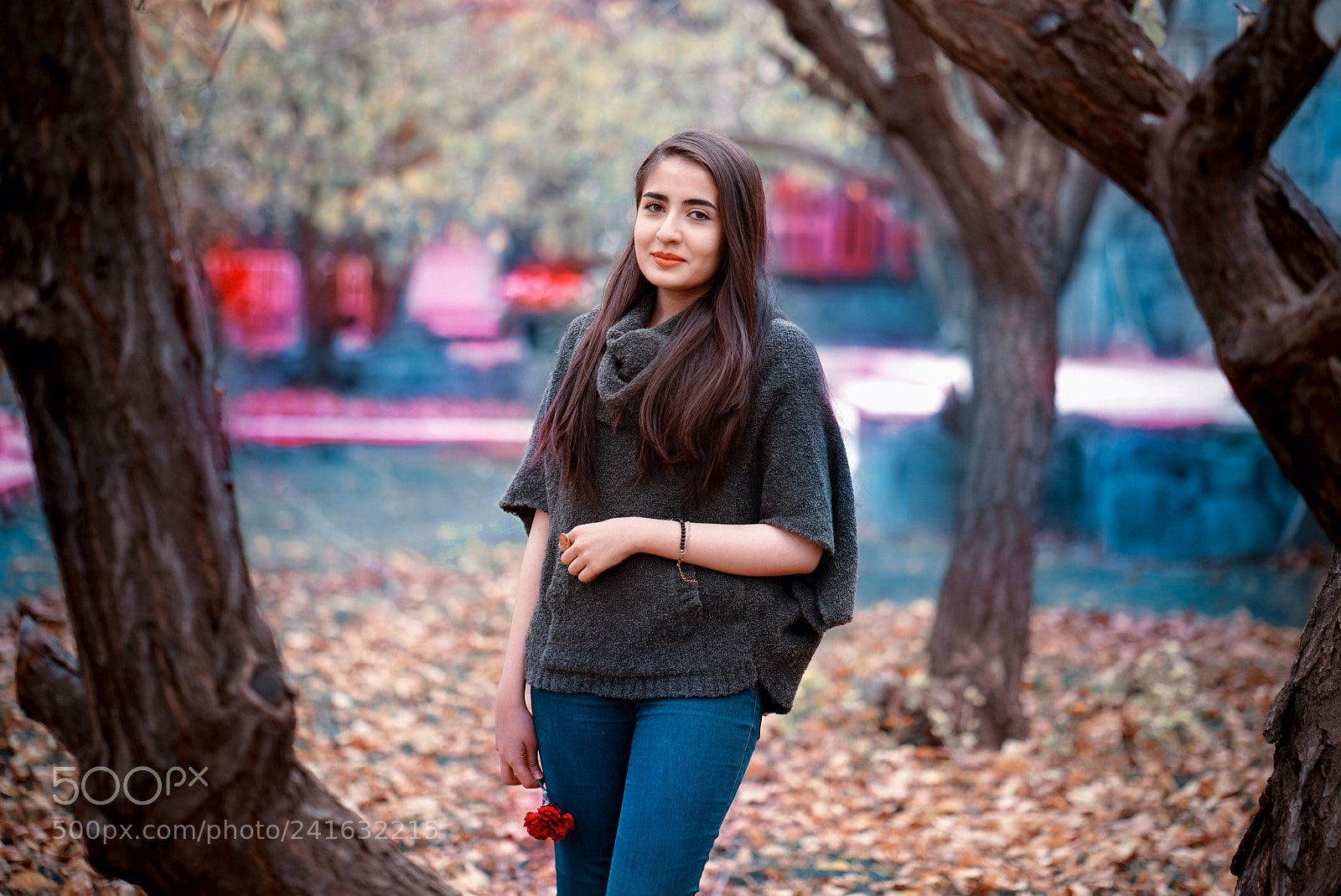 Sony a7R sample photo. Untitled photography