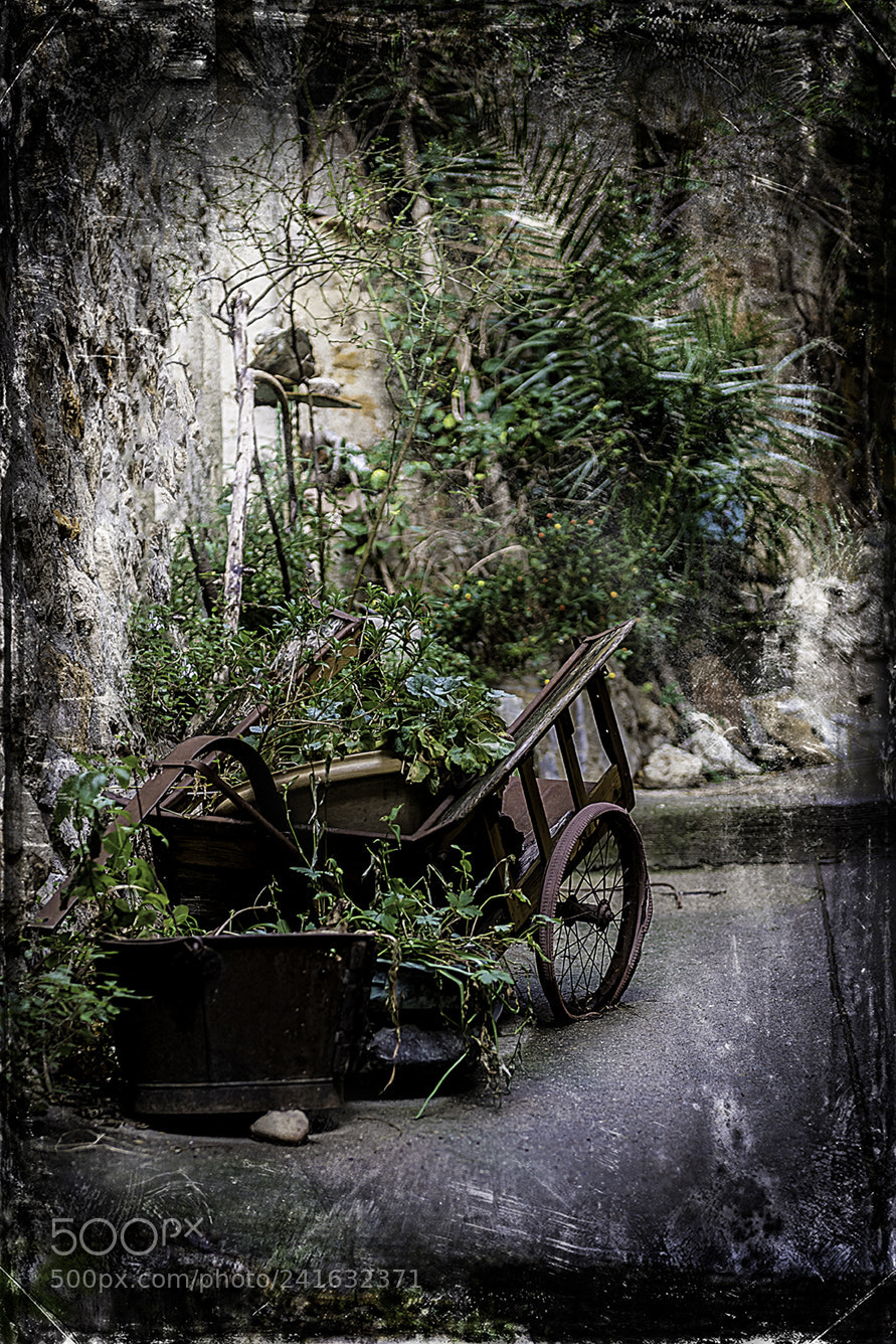 Nikon D5 sample photo. For sale photography