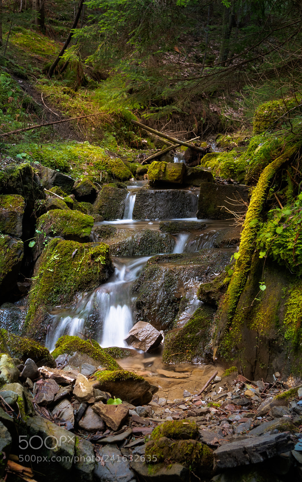 Olympus PEN E-PL6 sample photo. Gorce national park photography