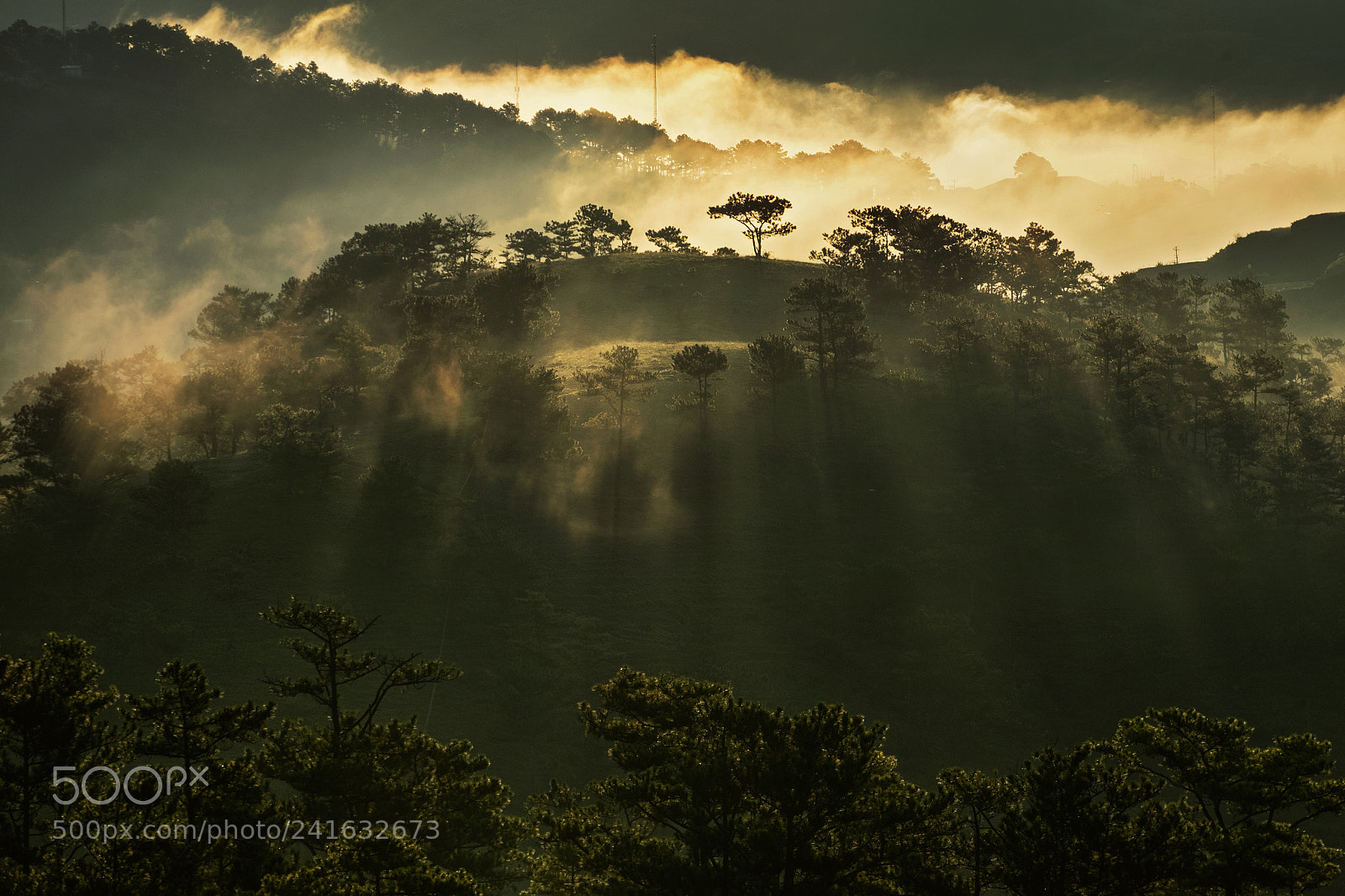 Fujifilm X-T1 sample photo. Da lat, viet nam photography