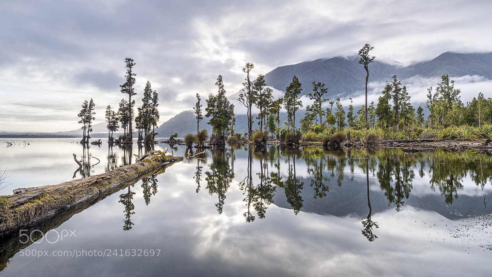 Olympus OM-D E-M1 Mark II sample photo. Reflection at lake brunner photography