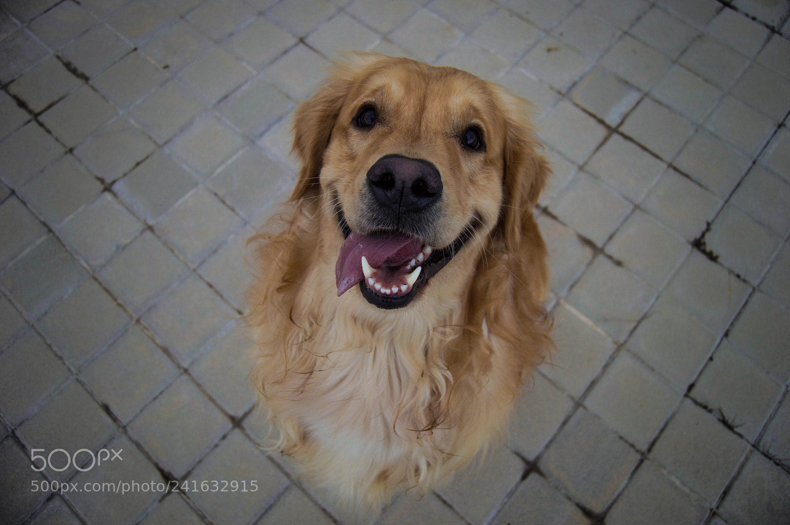 Nikon D3200 sample photo. Felicidad. photography