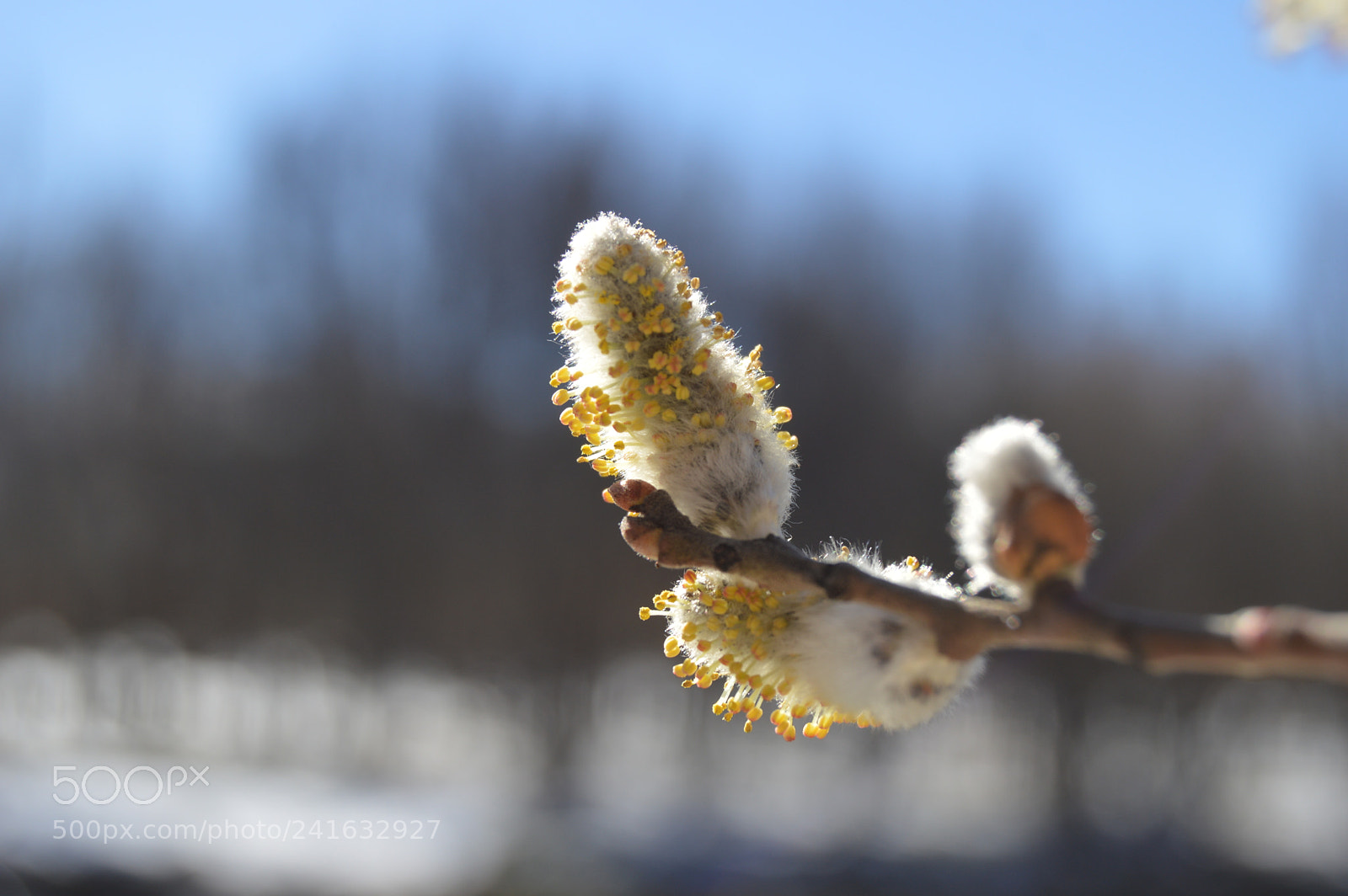 Nikon D3200 sample photo. Learning. photography