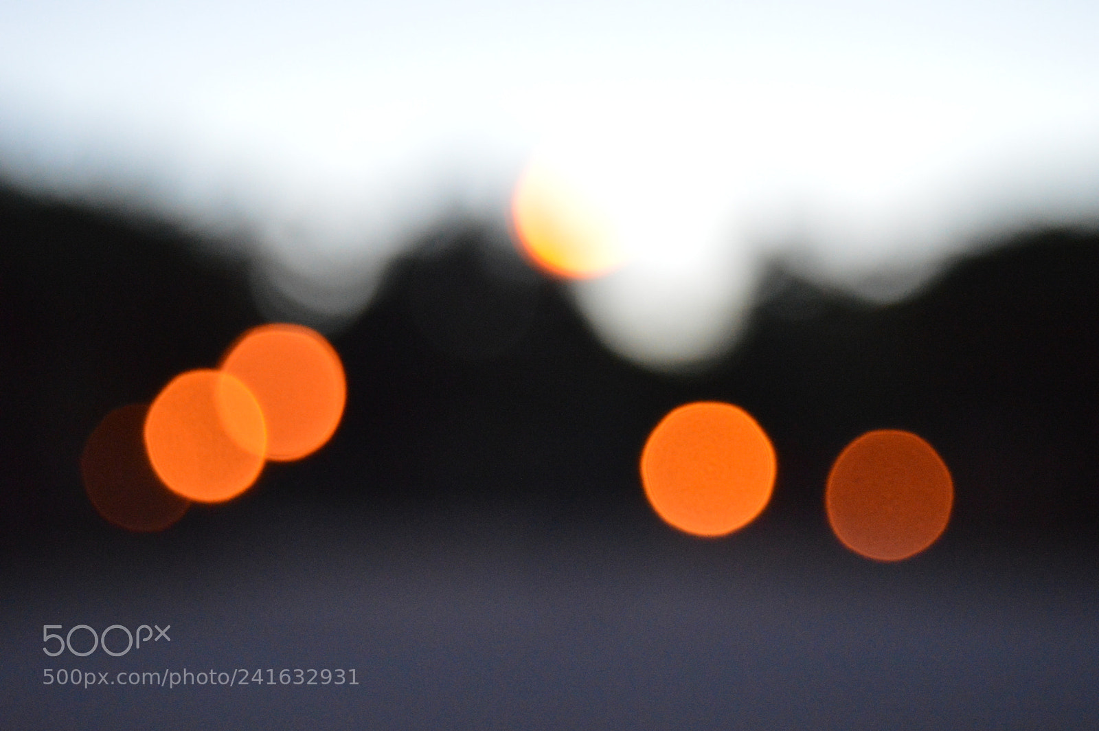 Nikon D3200 sample photo. Bokeh. photography