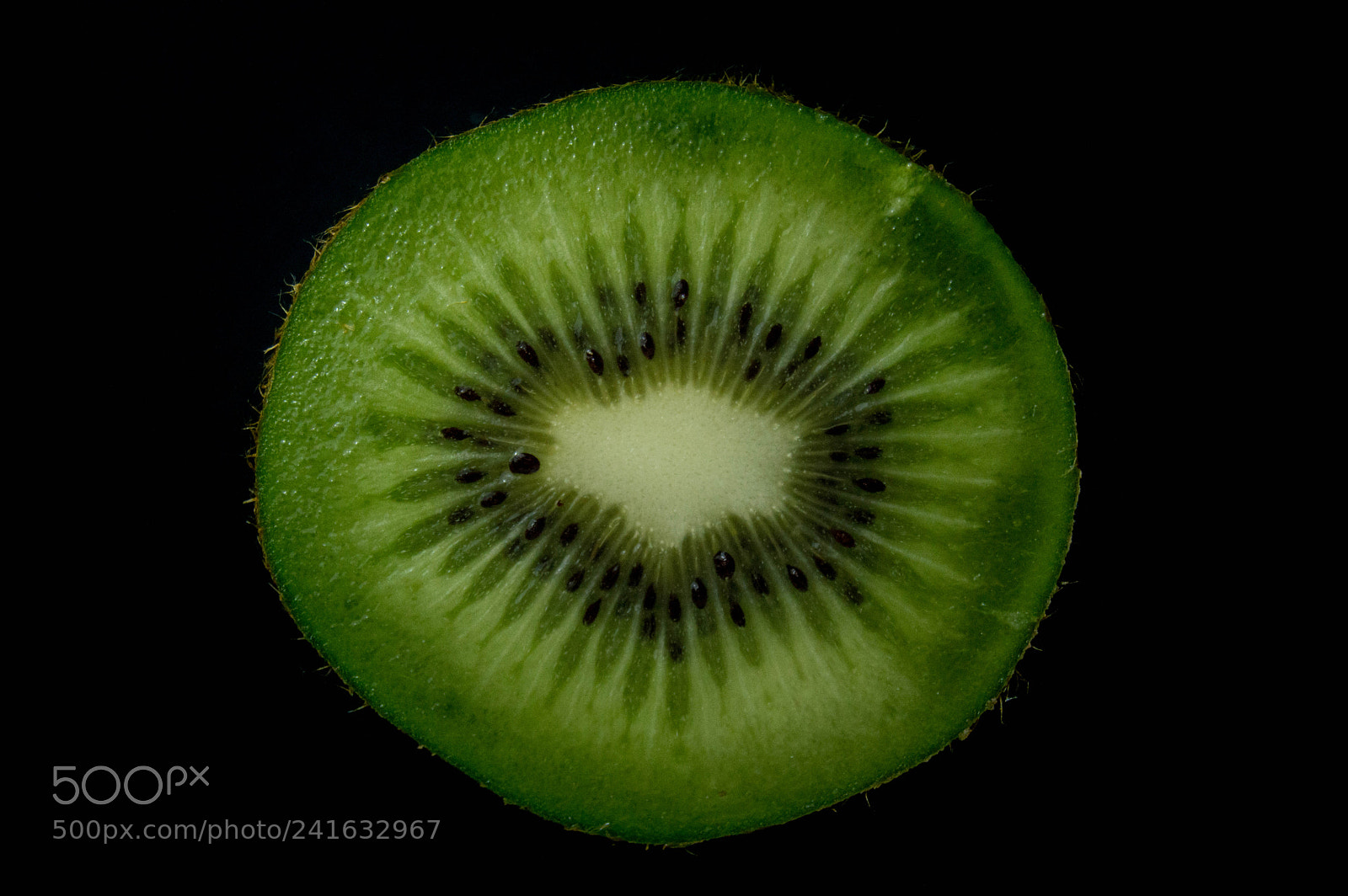 Nikon D3200 sample photo. Kiwi. photography