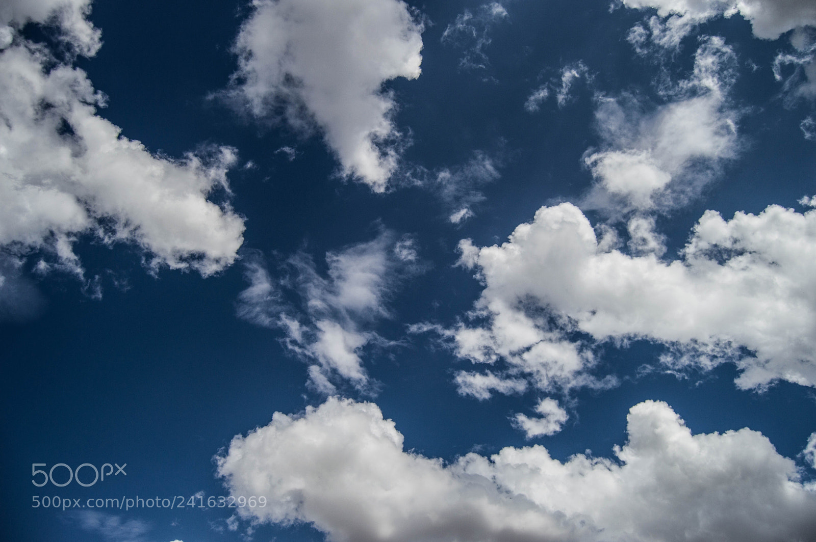 Nikon D3200 sample photo. Manchas. photography