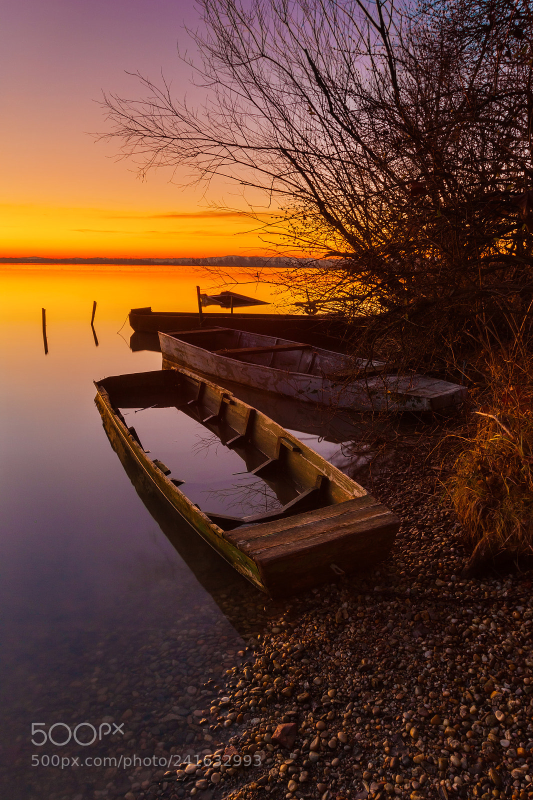 Canon EOS 50D sample photo. Flame of dawn photography