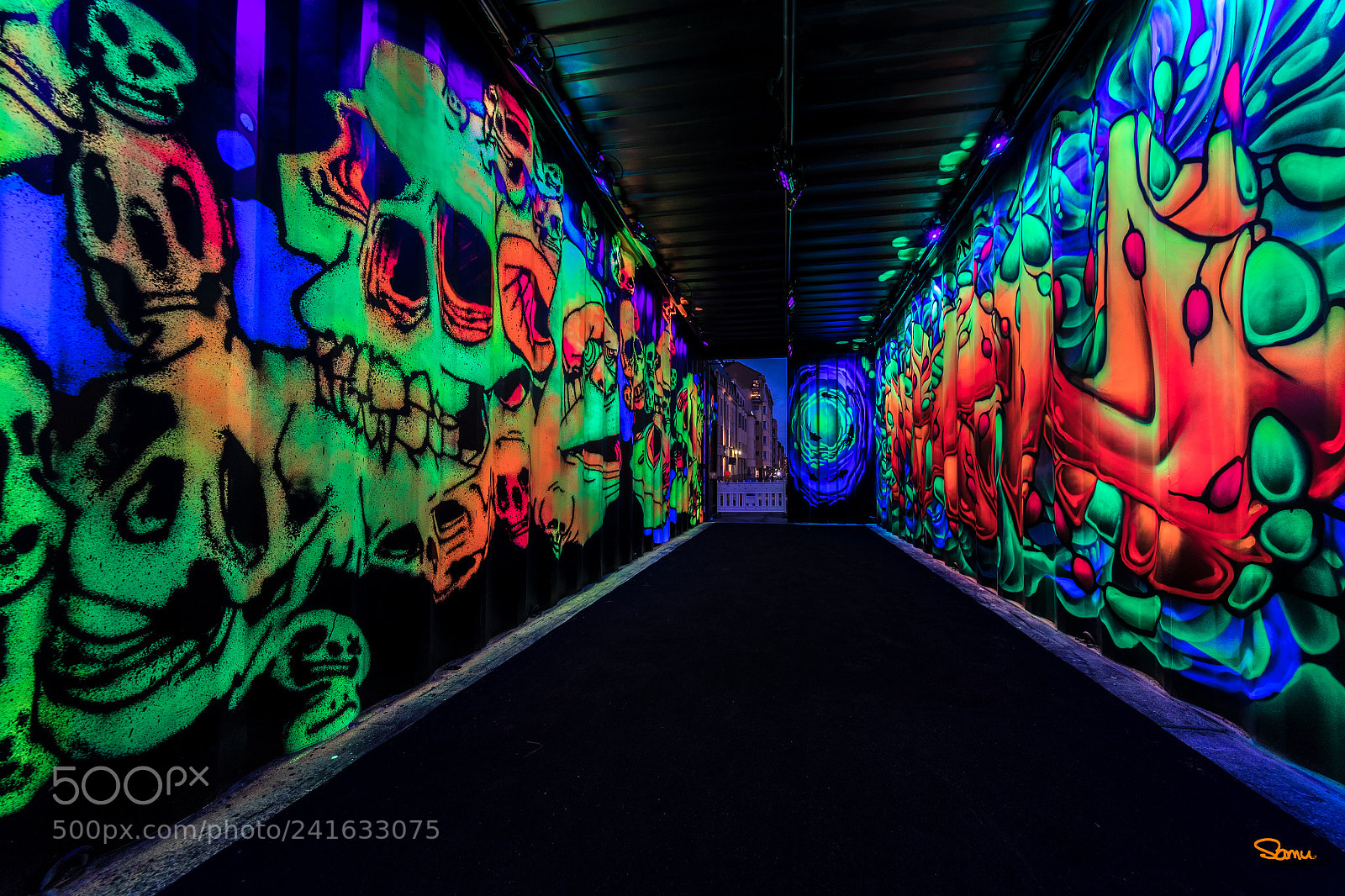 Canon EOS-1D X Mark II sample photo. Ultraviolet gallery 2 photography