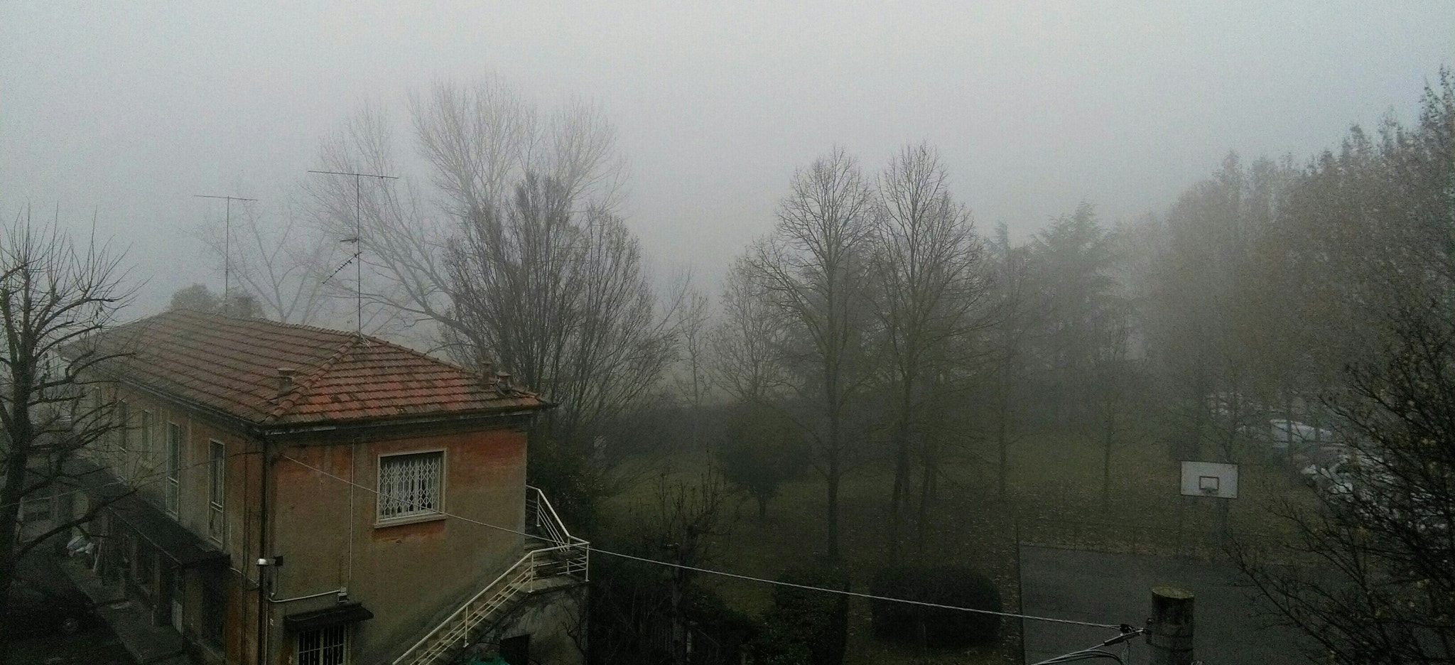 HUAWEI Y6 sample photo. Morning in the fog photography