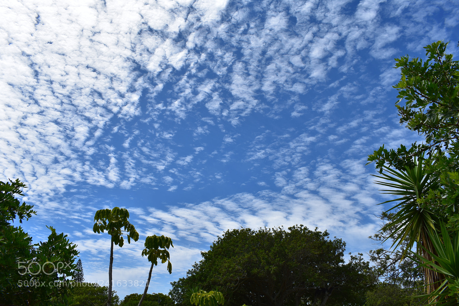 Nikon D3400 sample photo. Clouds over town photography