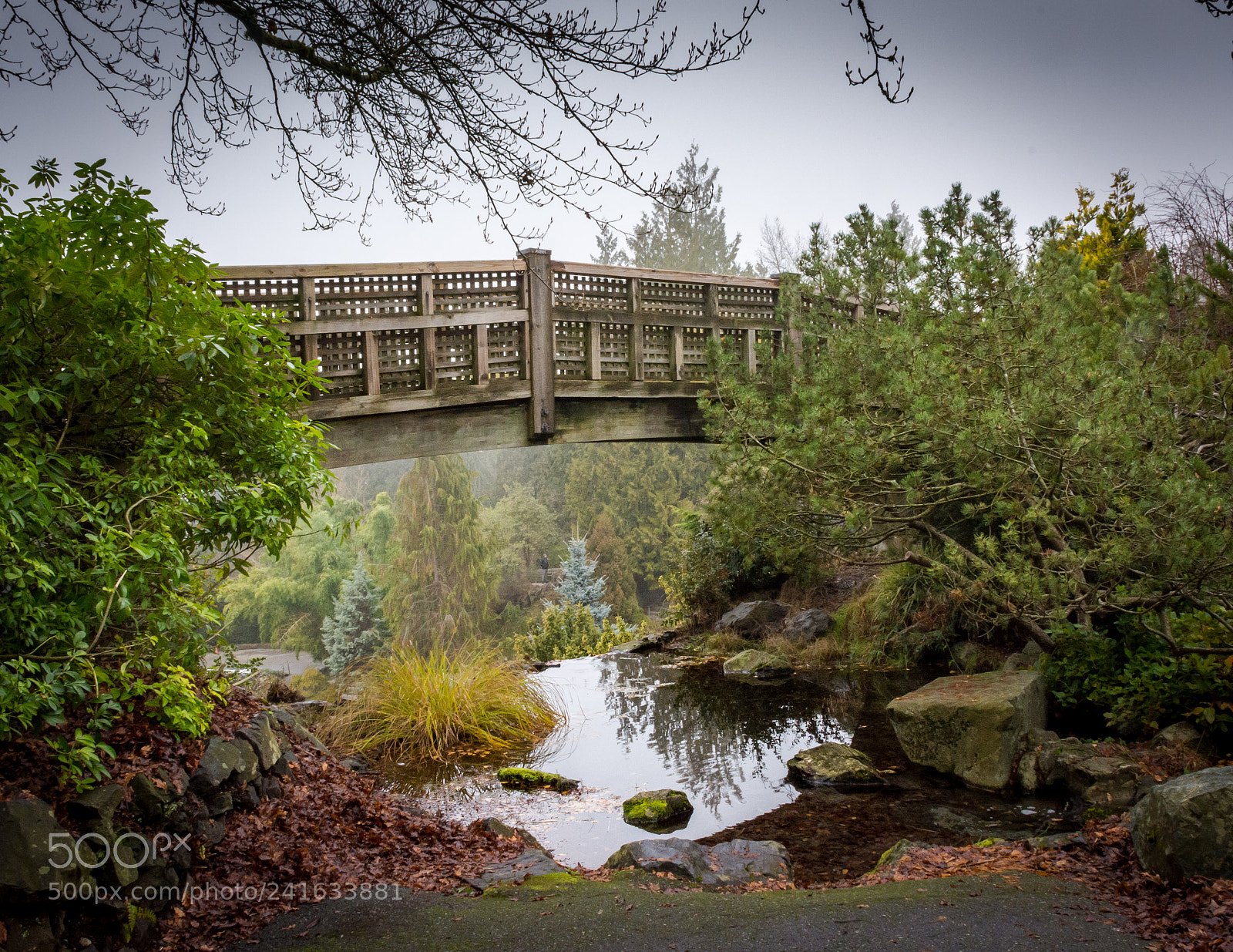 Nikon D7100 sample photo. Here to there photography