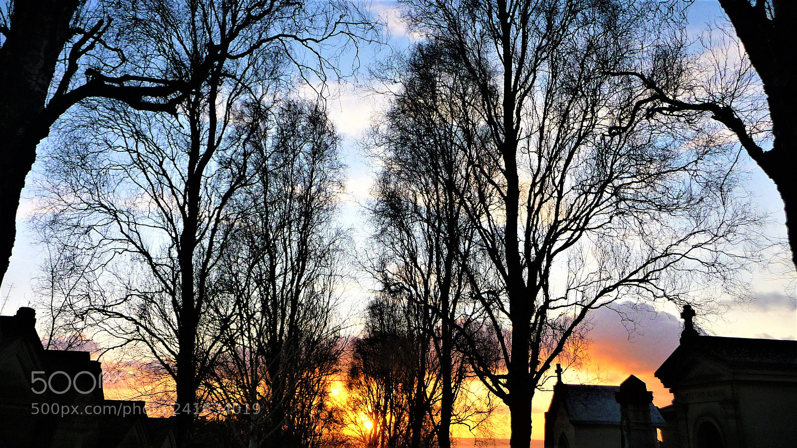Panasonic Lumix DMC-TZ5 sample photo. Trees and sunset photography